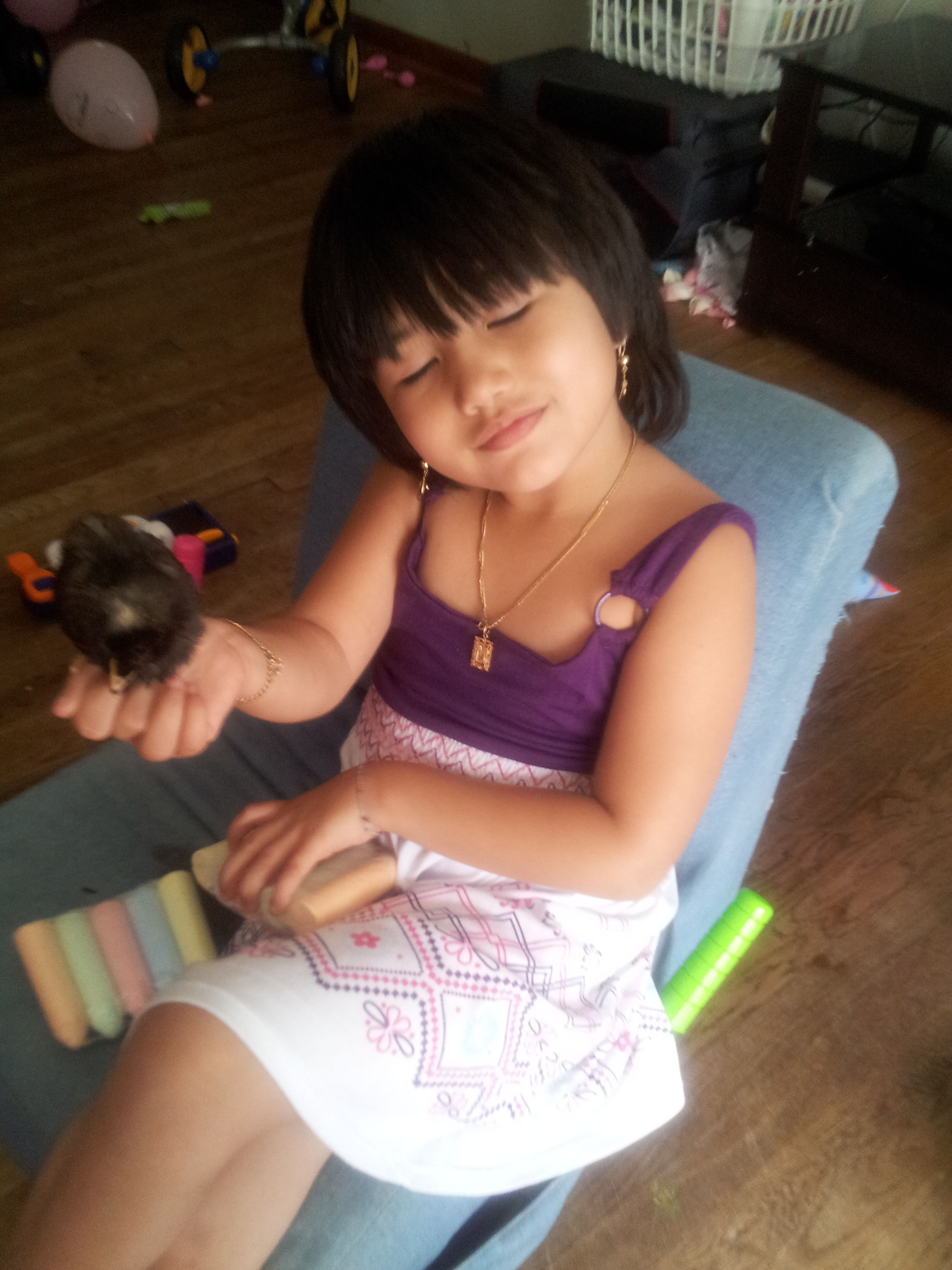 Here is sunny as a chick