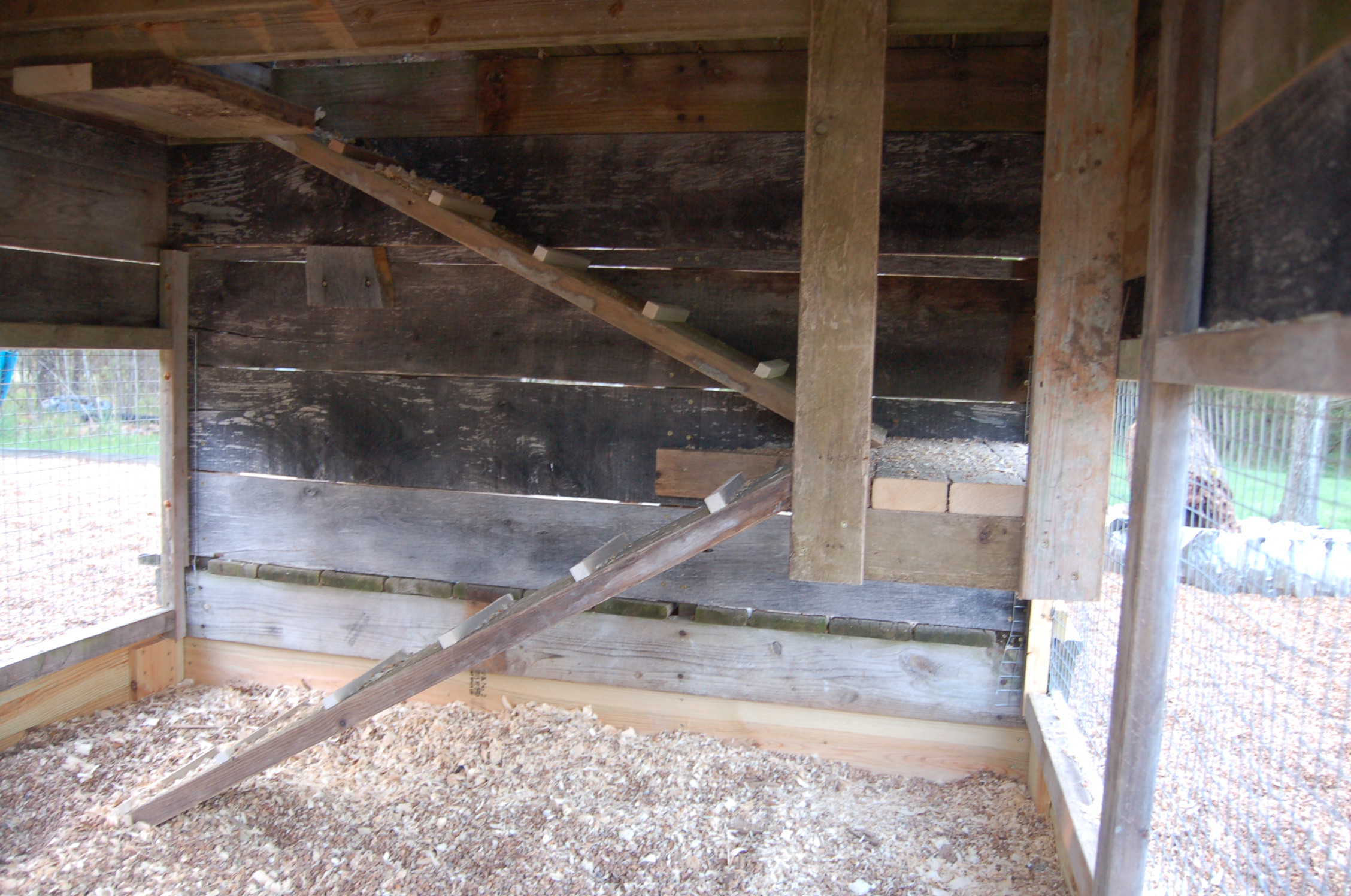 Here is the finished ramp.  We had to go with a double ramp with a landing in the middle due to the steep angle.  The ladies actually like to dogpile on the landing and sleep (for now, until they get too big)  We had to add a board on the outside edge of the landing after finding out that they slept there the first night they had access to the lower level because I found a handful of feathers outside on the ground...had no idea they would sleep there and be pushed up against the fence.  Probably a racoon...close call