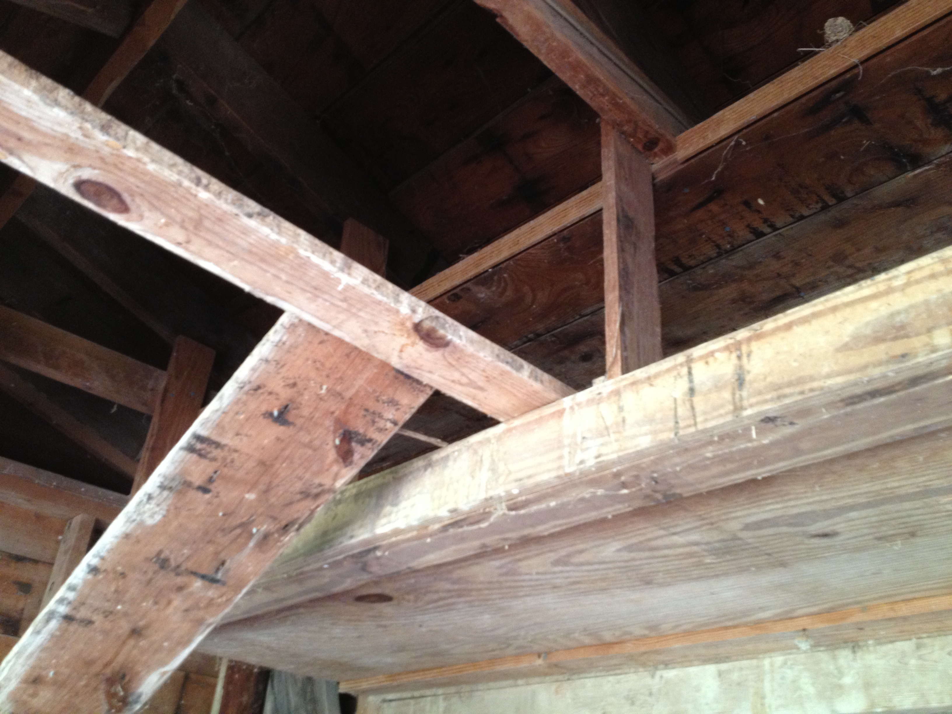 Here is the inside of the chicken coop. I have not done any work on it as yet; so this is as I found it. There is an area on both sides of the coop where the chickens can nest high. There are "chicken ladders" to reach this area. In this photo there is the bottom of one of the ladders and access to four of the nesting areas.