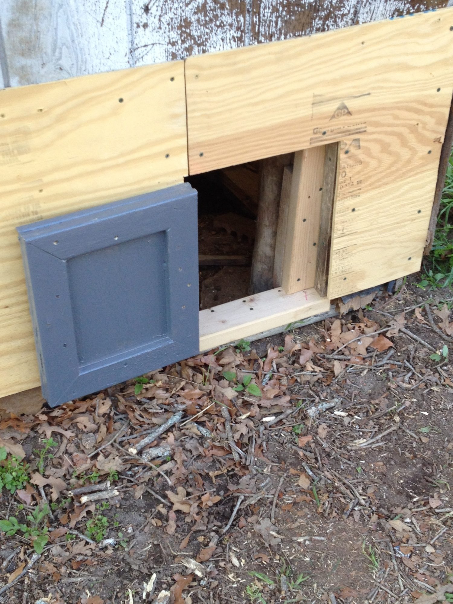 Here is the same door, with a better view of the frame repairs.