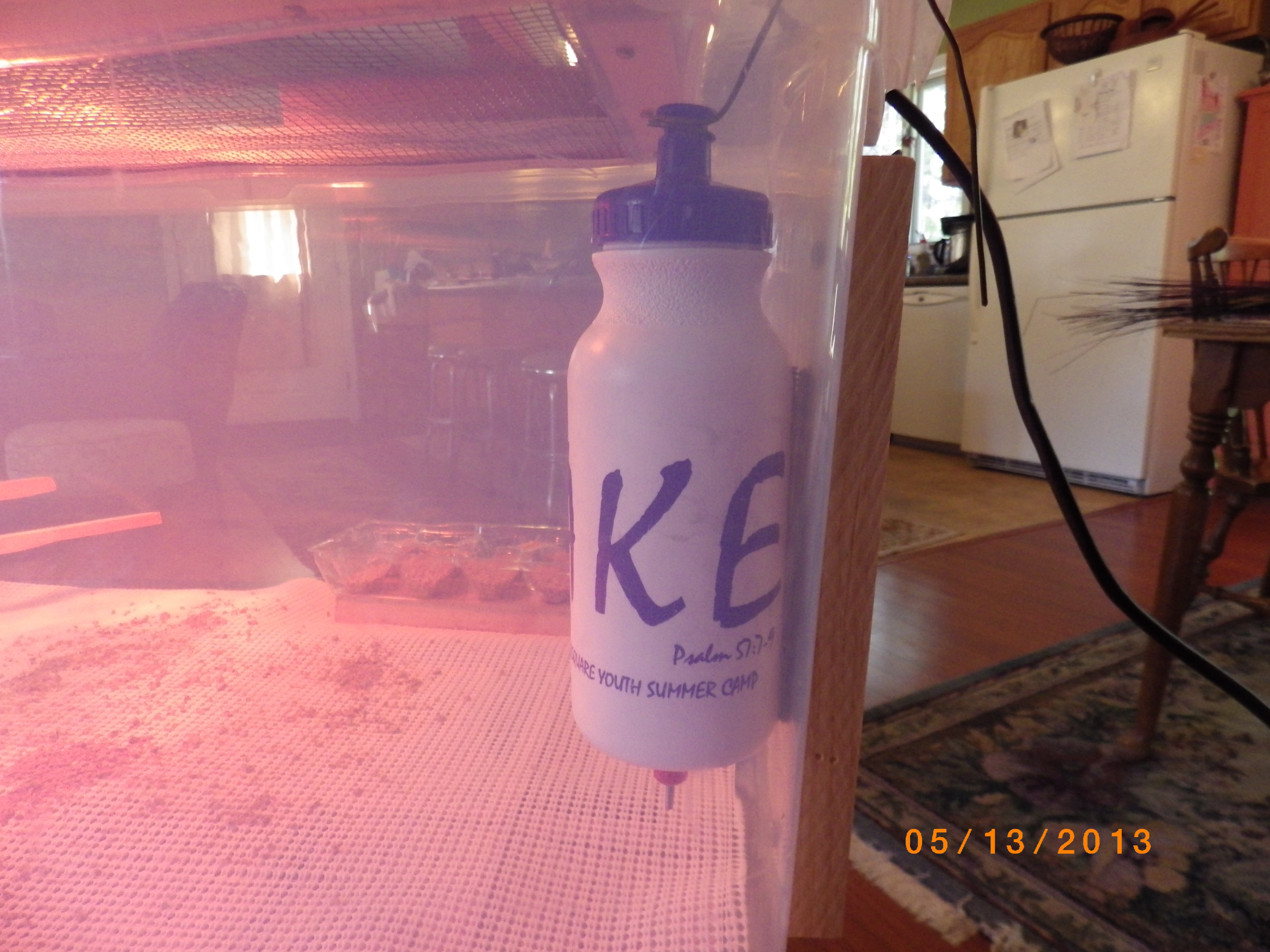 Here is their drinking bottle with poultry nipple on the bottom of the bottle.  The baby chicks took to the nipple the very first day!!  It's great!!!  They have clean water all the time this way..they seem to really like it!!
