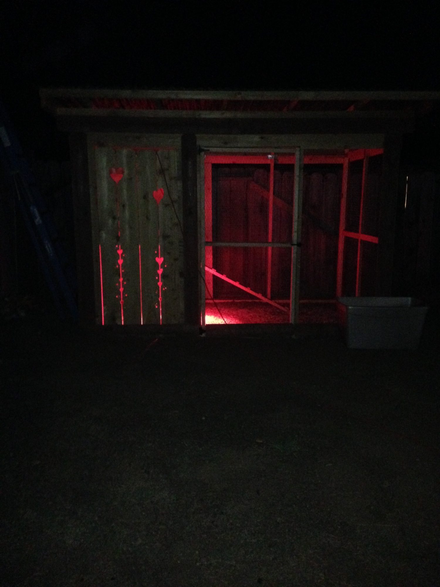 Here it is at night, its cold outside so I put a heat lamp in there.