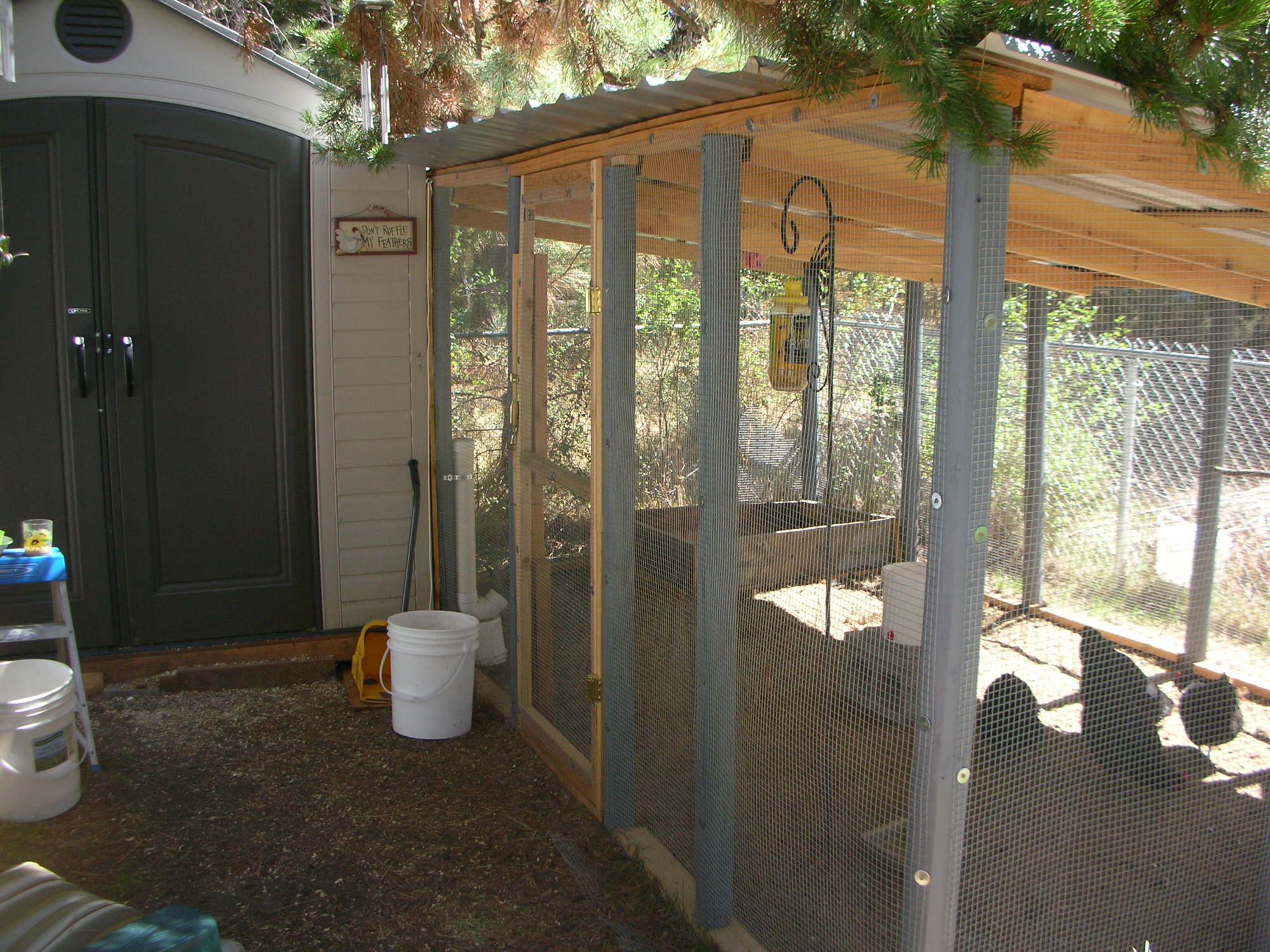 Here it is with the run finally built and attached to the coop! The left side door is permanently closed for use as a 'wall' of sorts.