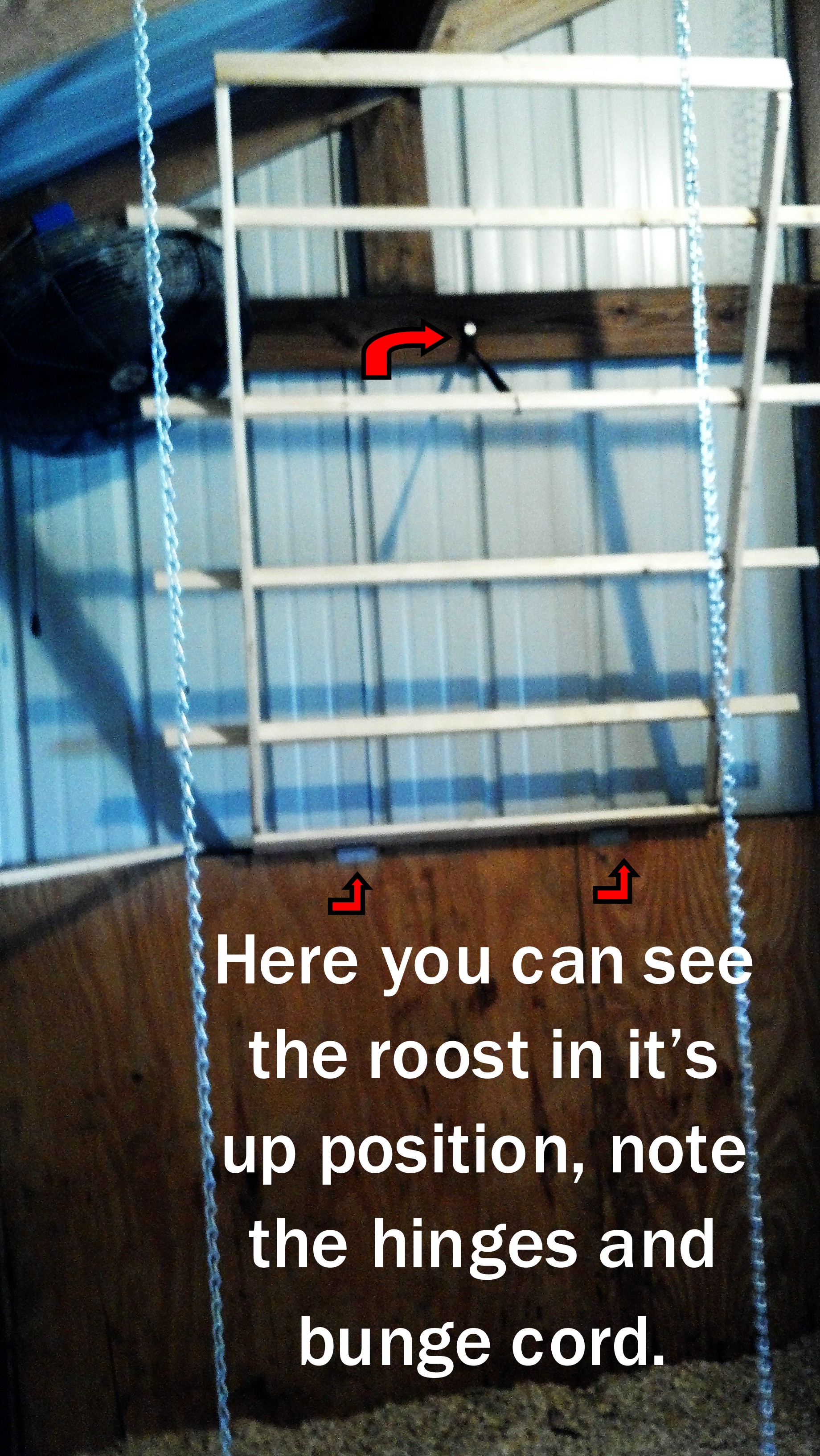 Here you can see the bungee and hinges.