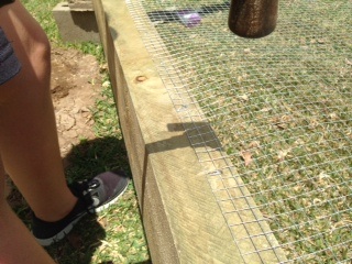 Here's a pic of the nailed mesh on one side of the frame.