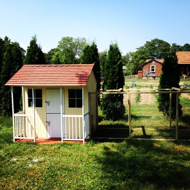 Here's a picture of our playhouse-turned-coop, finished! So far, the girls seem to be liking their new home.