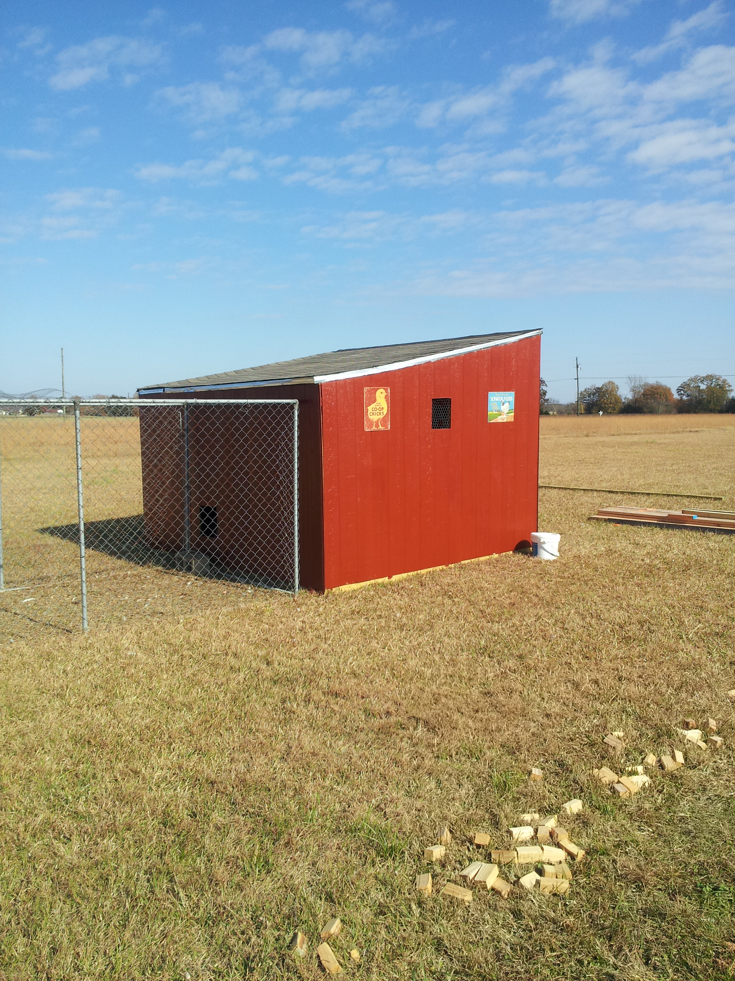 Here's another view of the side from a different angle.  The bucket is where the scratch is kept for a quick treat for the ladies and gents when I'm outside near the coop.