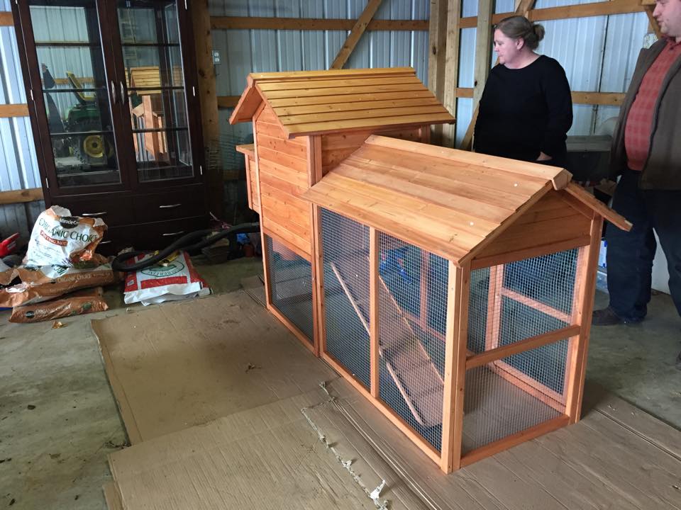 Here's our coop on the day it was built. Still have to waterproof it and find the perfect spot in the yard.