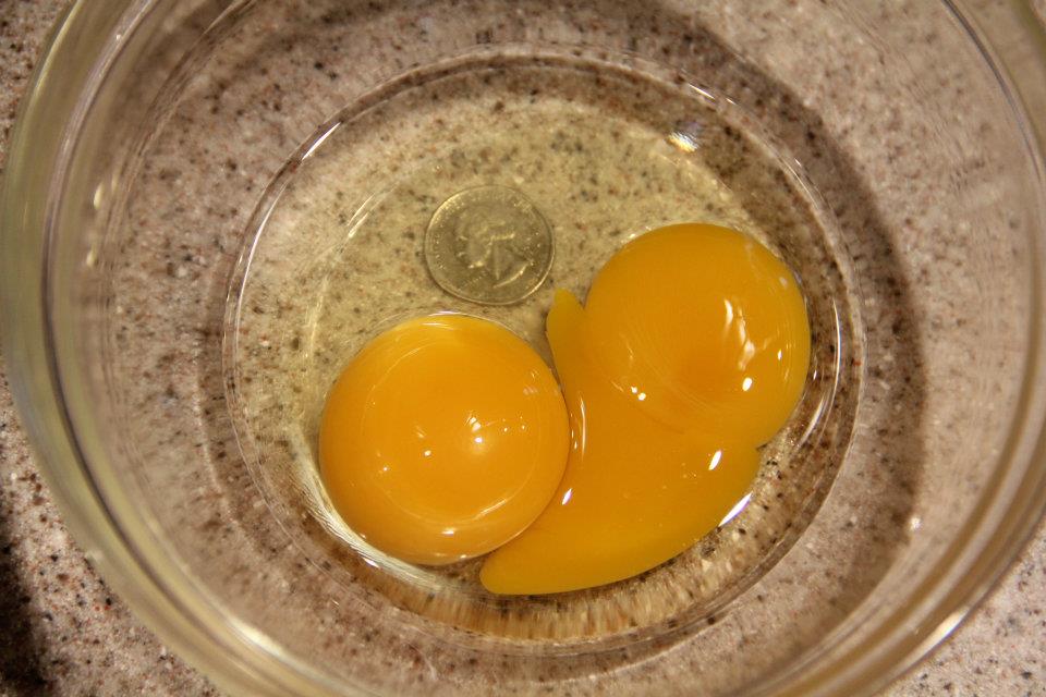 Here's the 3.5oz egg cracked open.... the egg yolks were huge.