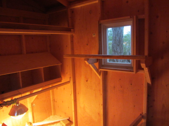 heres the roost with a veiw