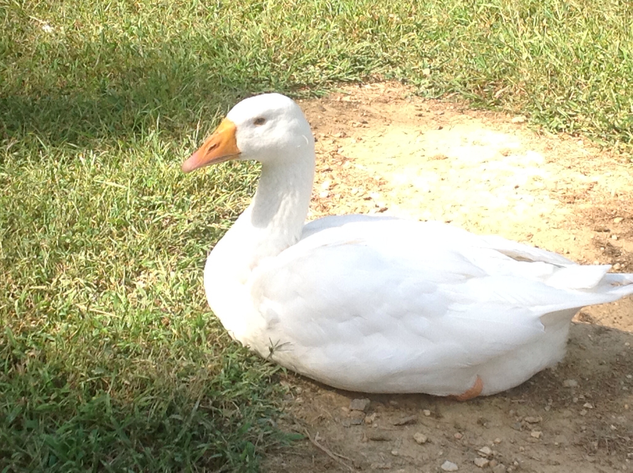 He's such a pretty boy!