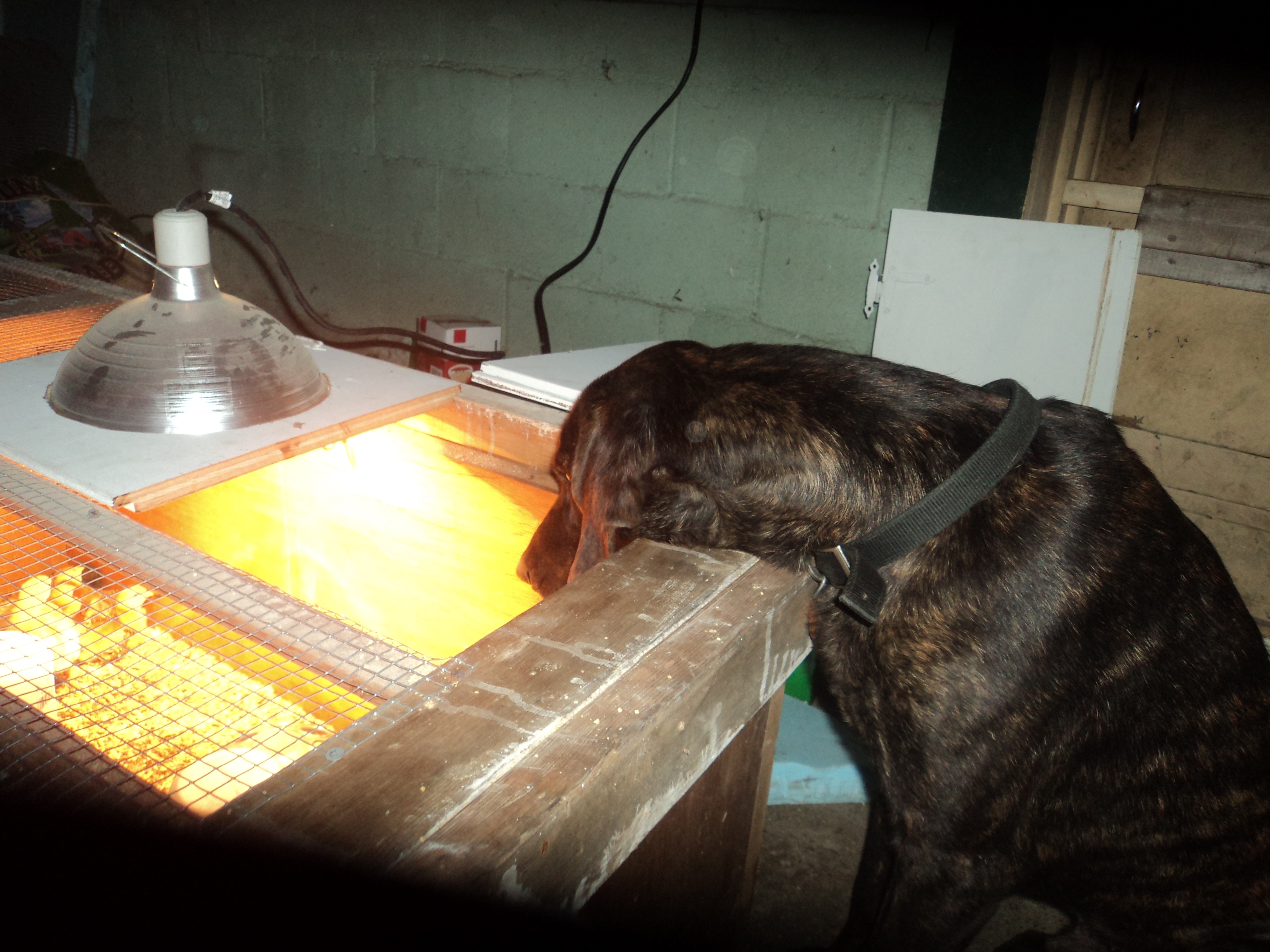 He's very interested!