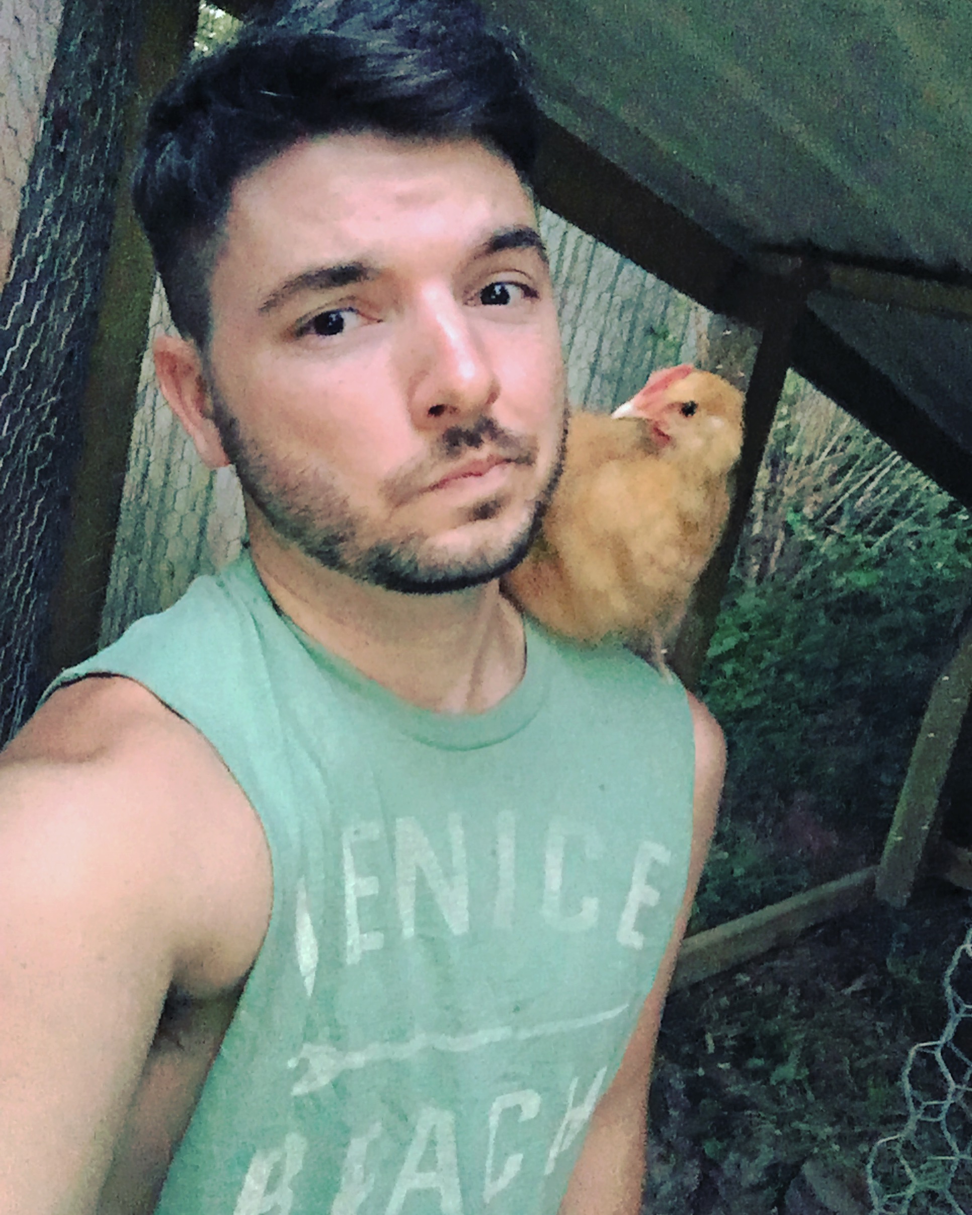 Hester used to jump up on my shoulder.