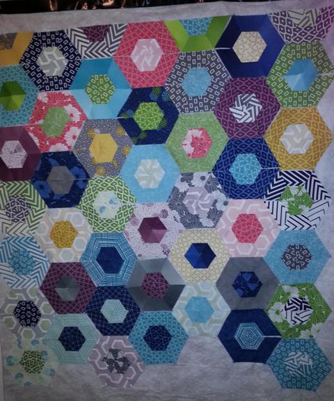 Hexi on design wall