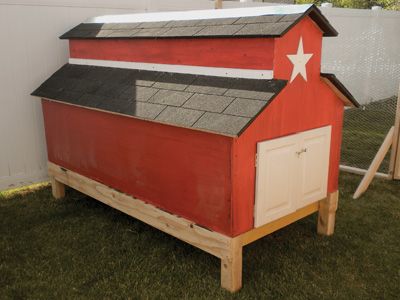 Hey guys! this is the coop I plan on building. I found it on tractor supply's website                                                                                       ( http://www.tractorsupply.com/content/knowhow/chicks/little-big-barn-coop  )  and would love you guy's opinions on it! Thanks!