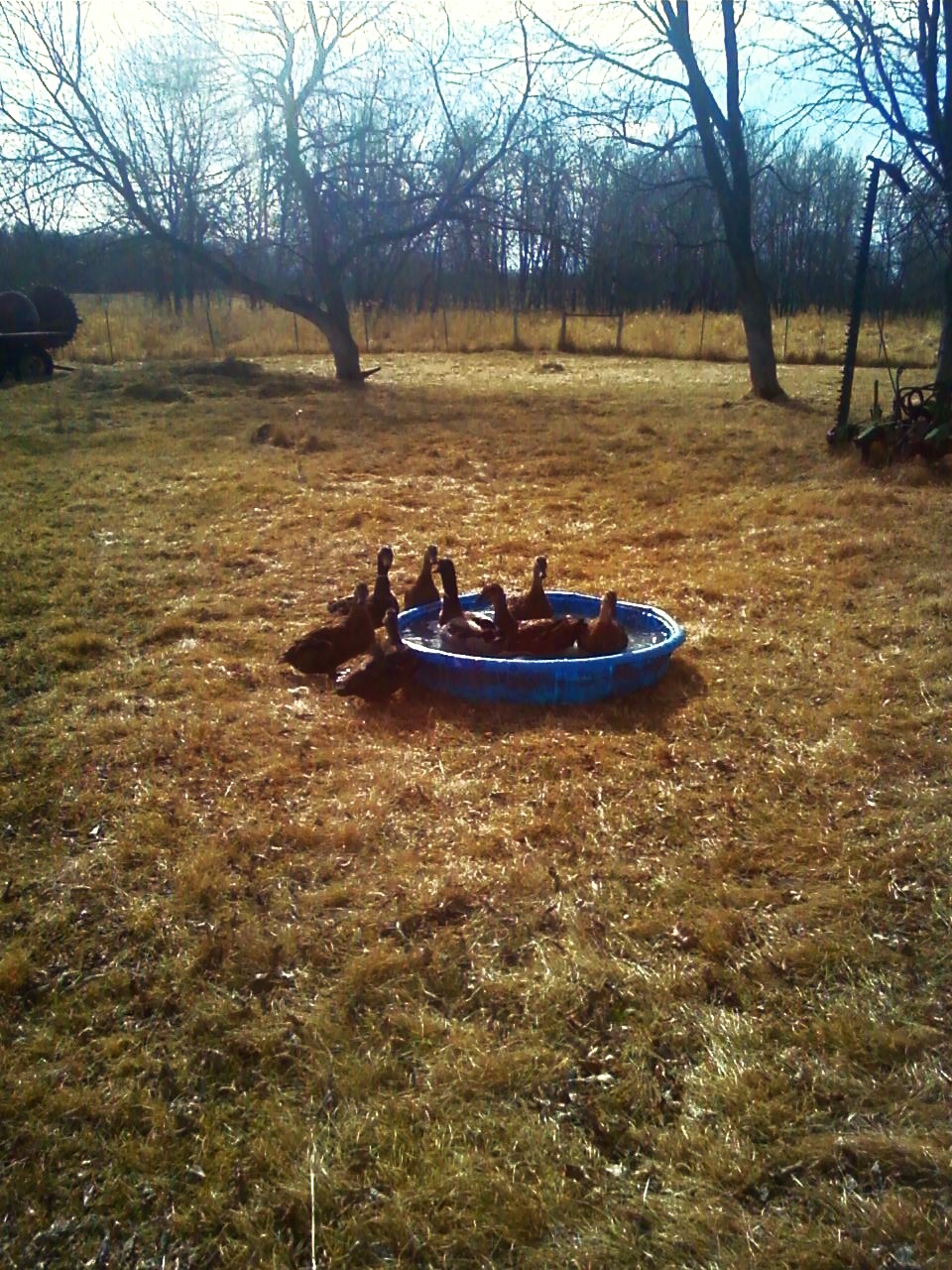 Hey lets all get in!!