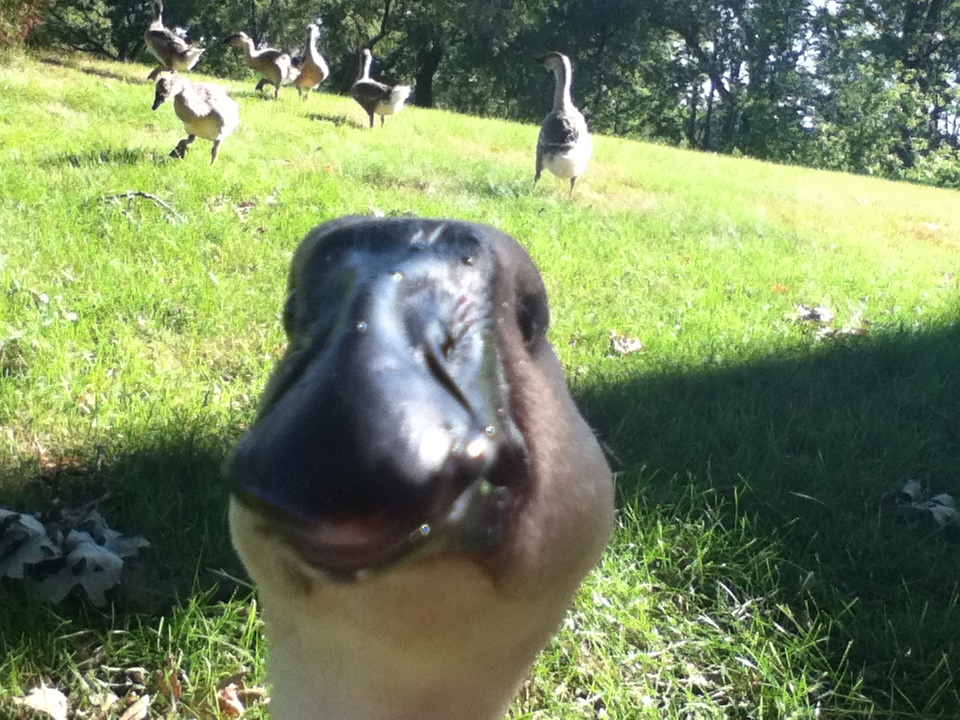 Hey there!