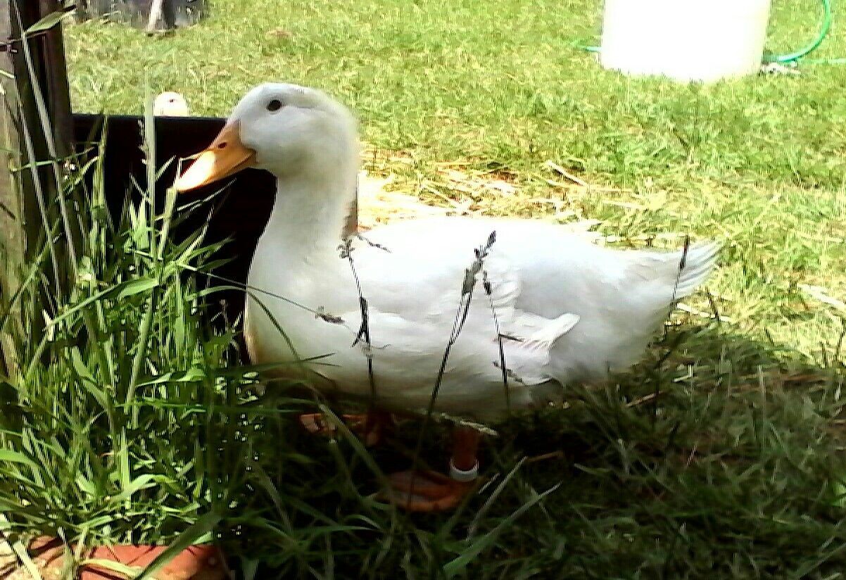 "Hey, you are anoying with that camera"