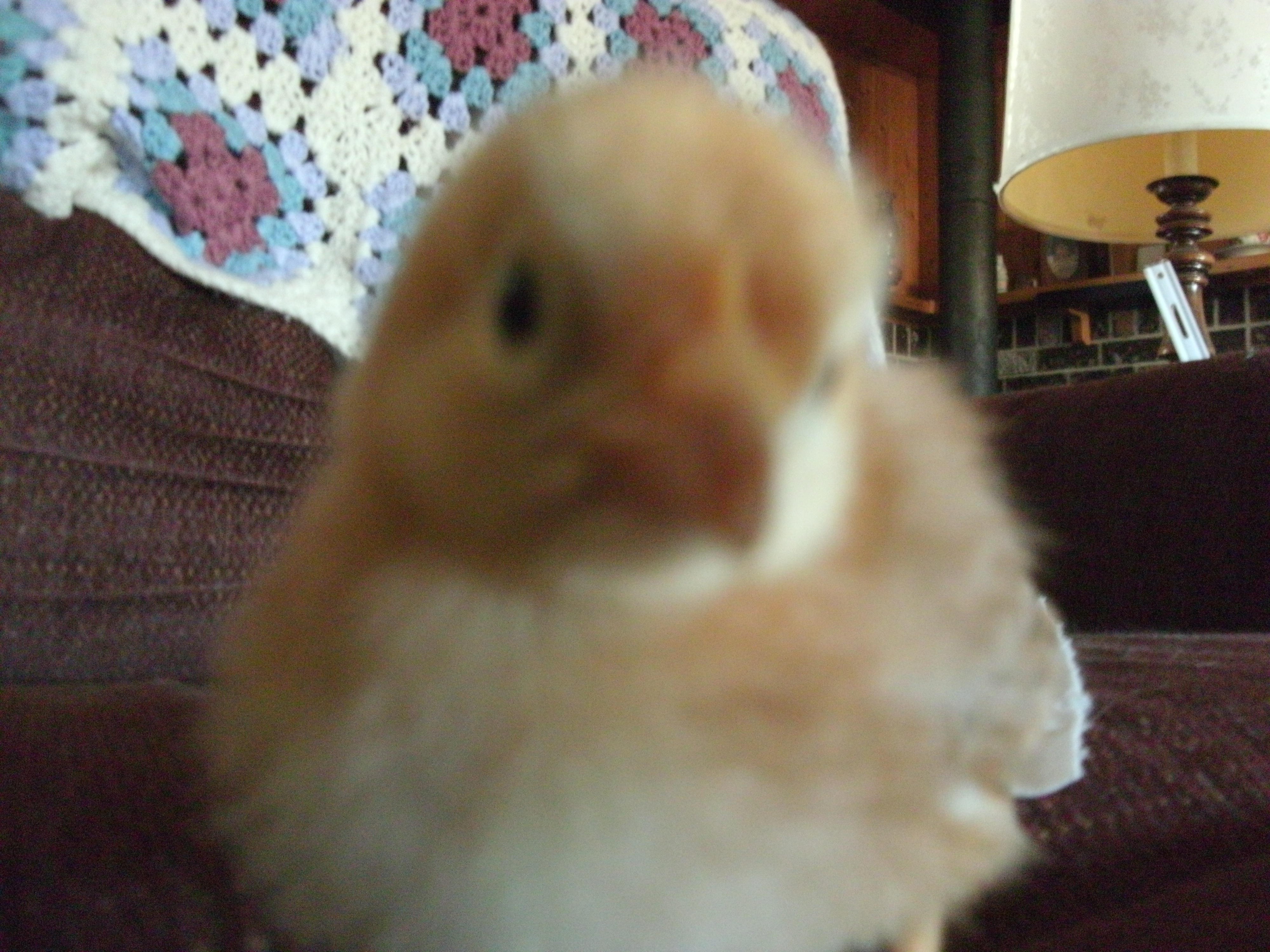 Heyy. Hey you there! Yea you. Get out my facee. (lol)