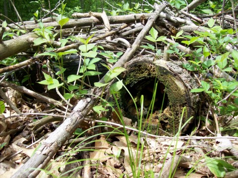 Hobbit hole from a different angle.