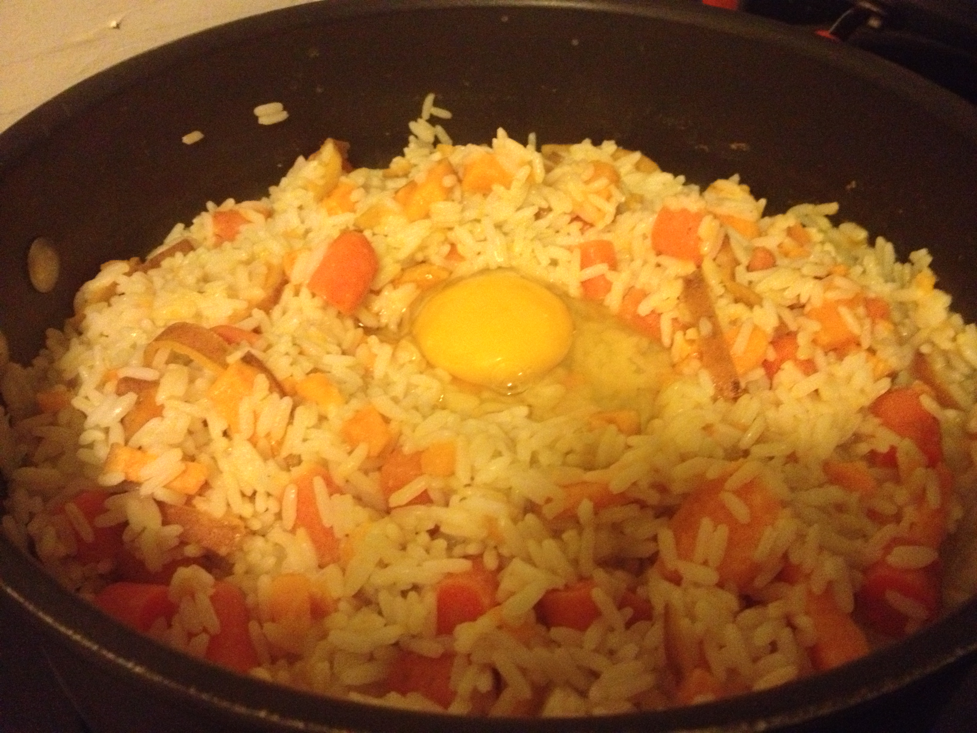 Homemade add on dog food. Rice, yams, carrots, egg.