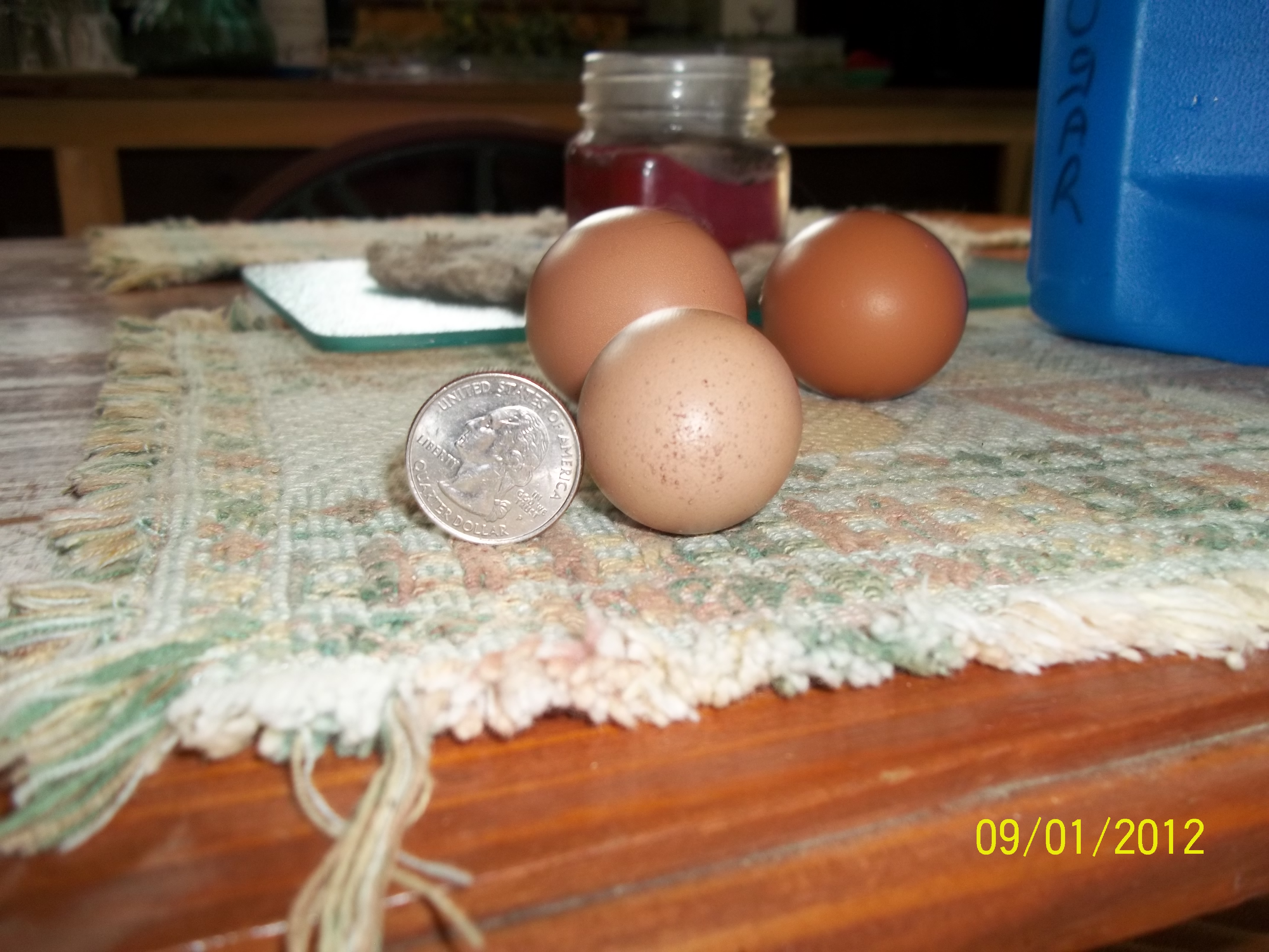 hope thay get bigger