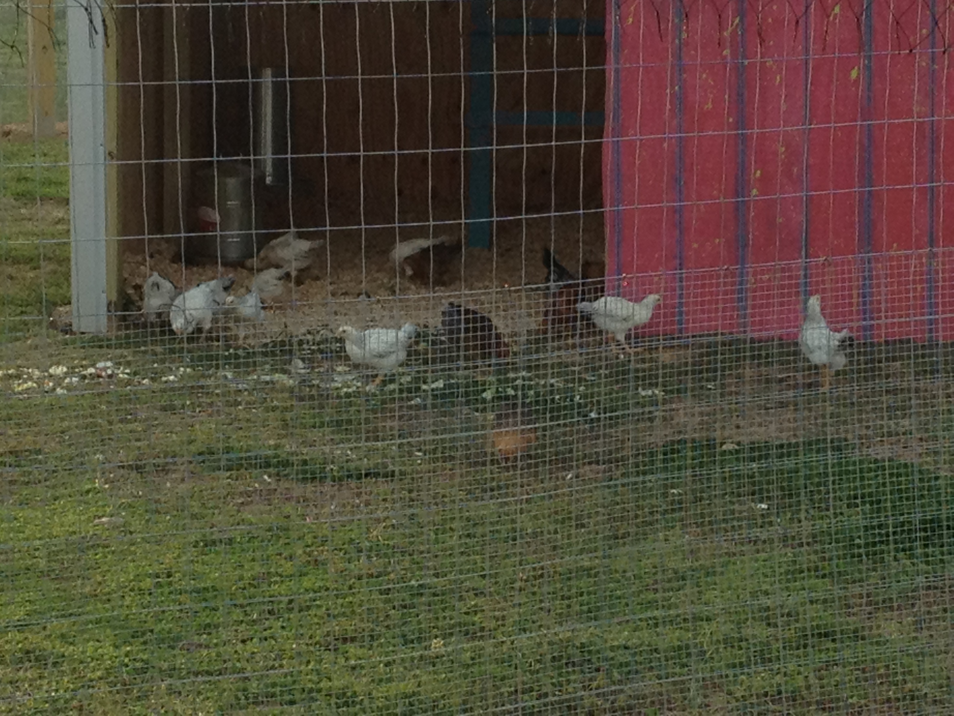 Hopefully happy inhabitants.....