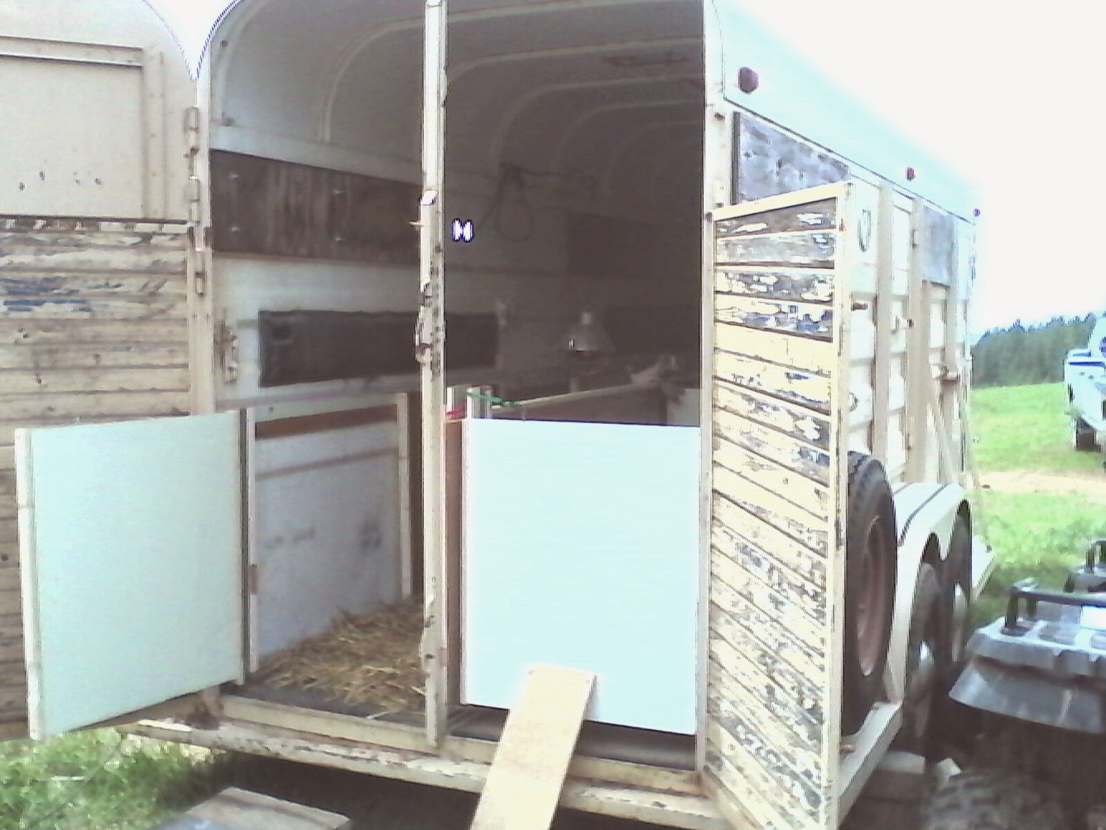 Horse trailer turned duck house