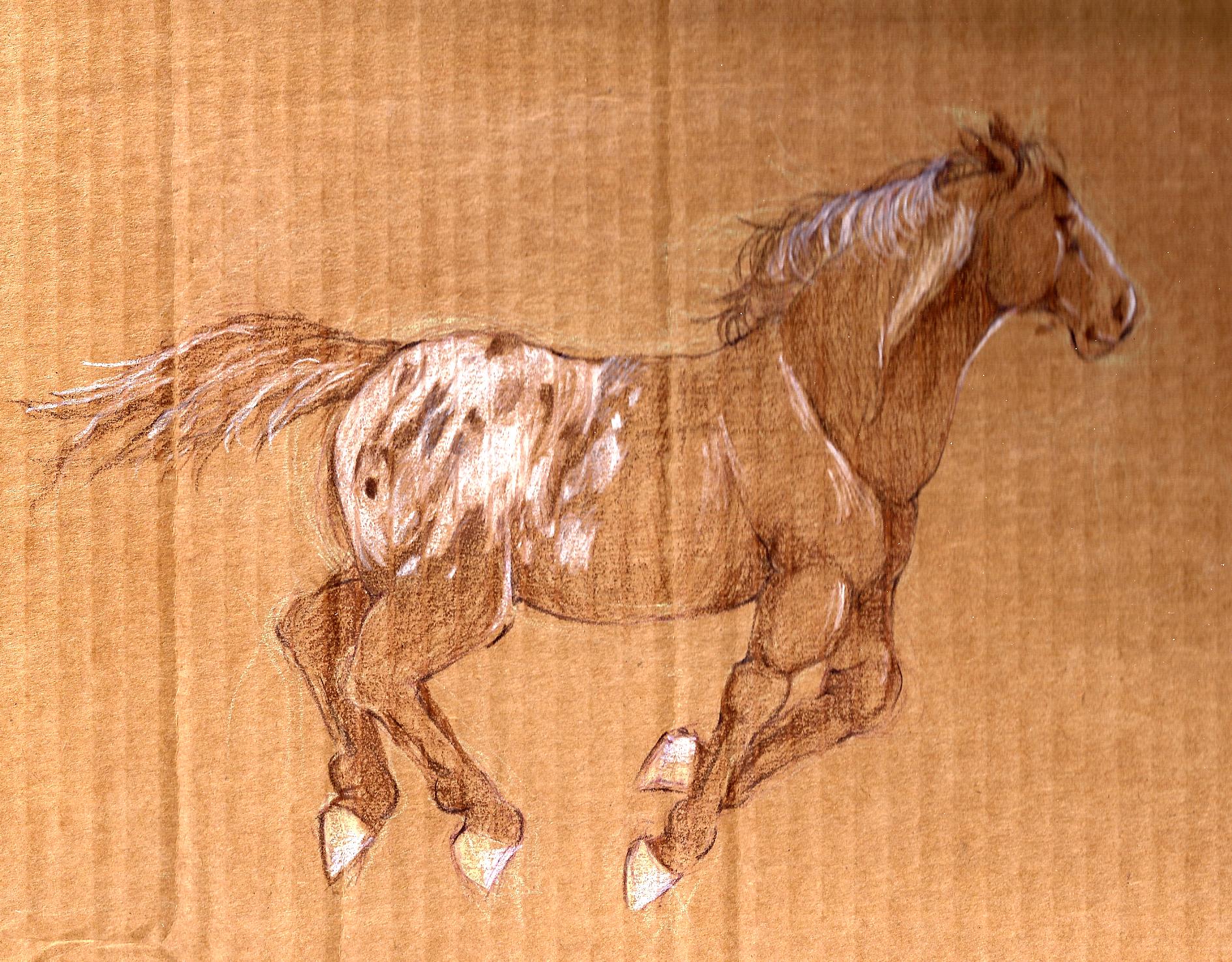 horse