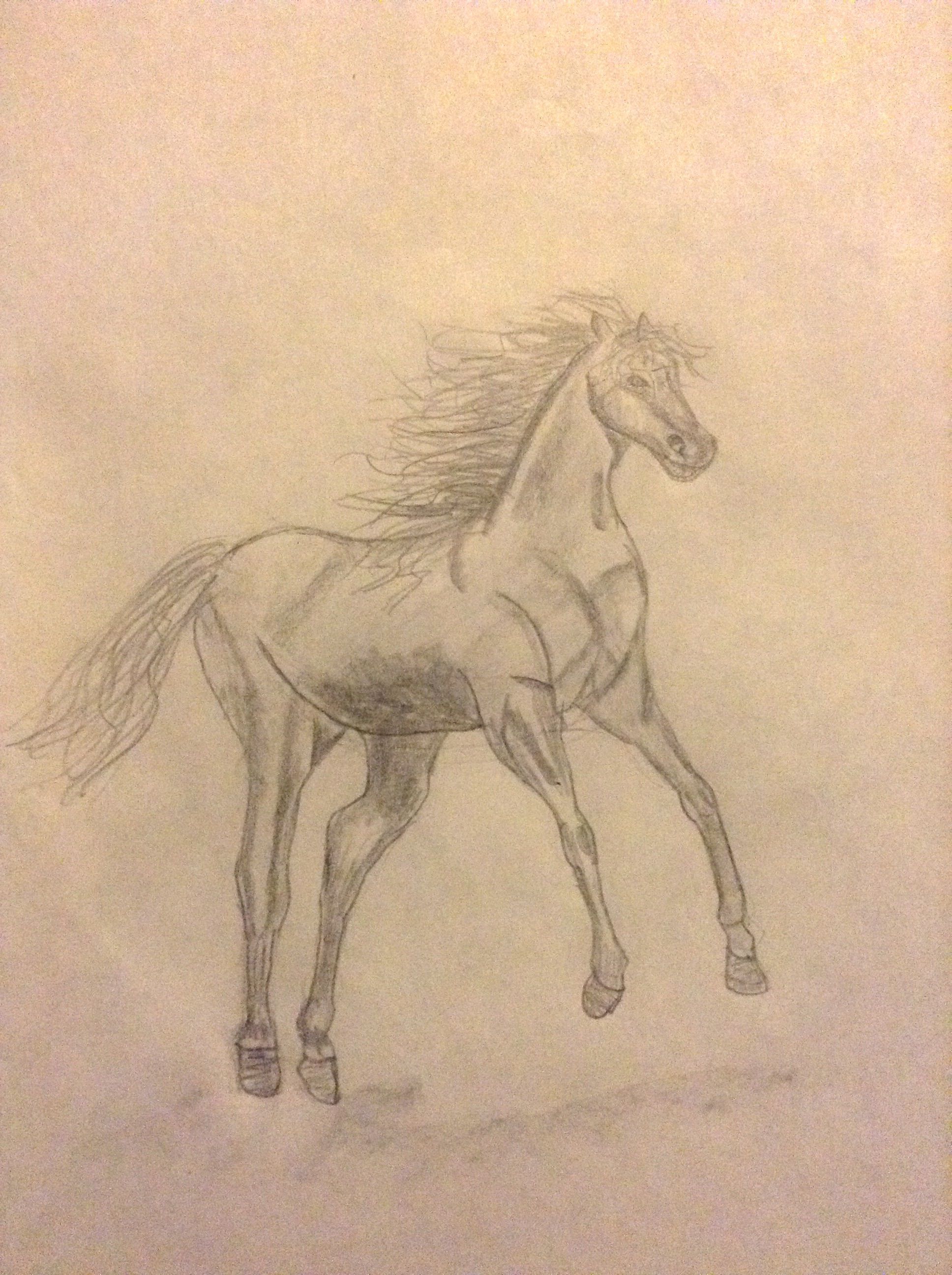 Horse