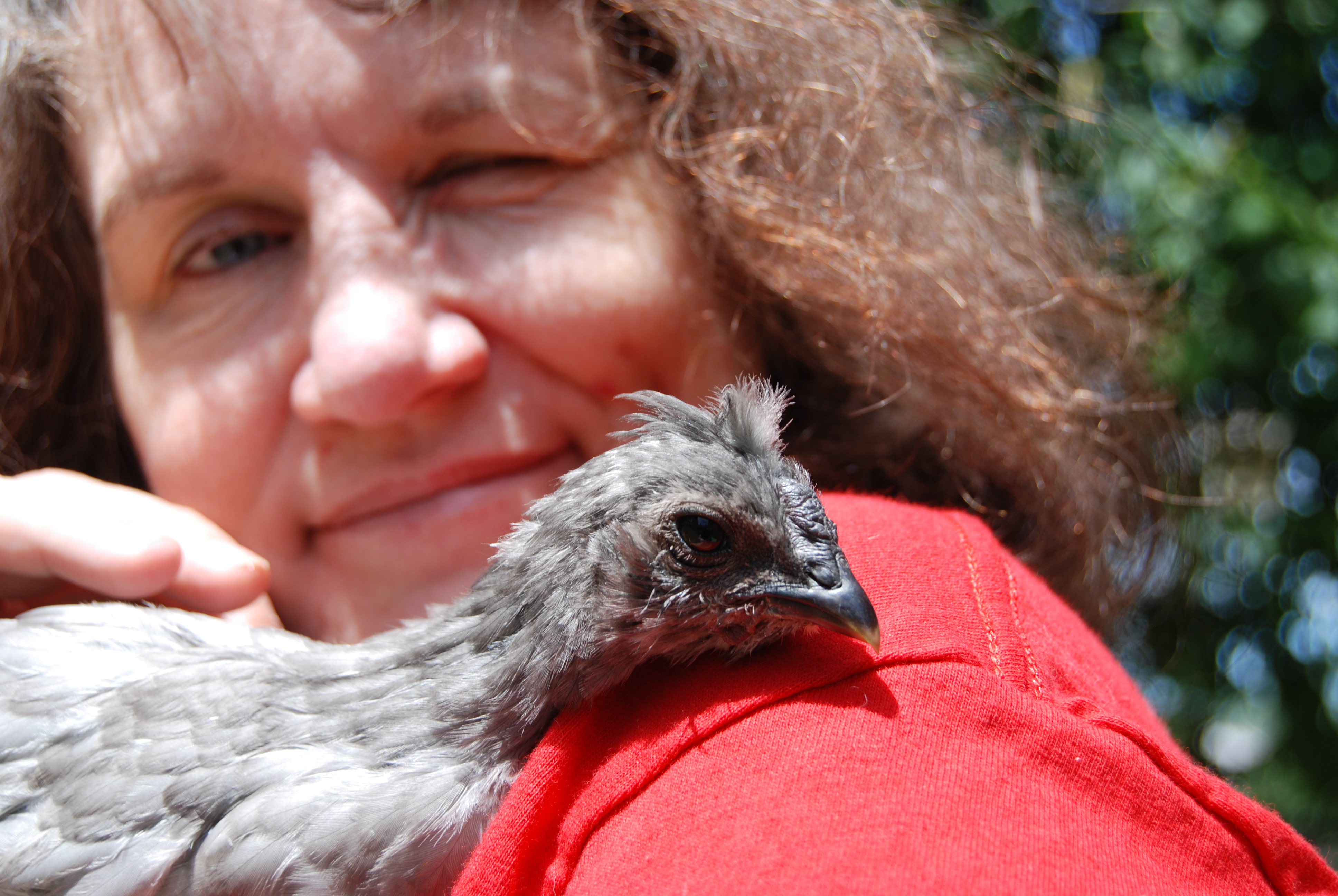 Houdini with her head on my shoulder.