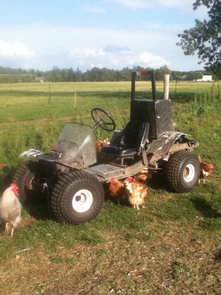 how i get feed to chickens