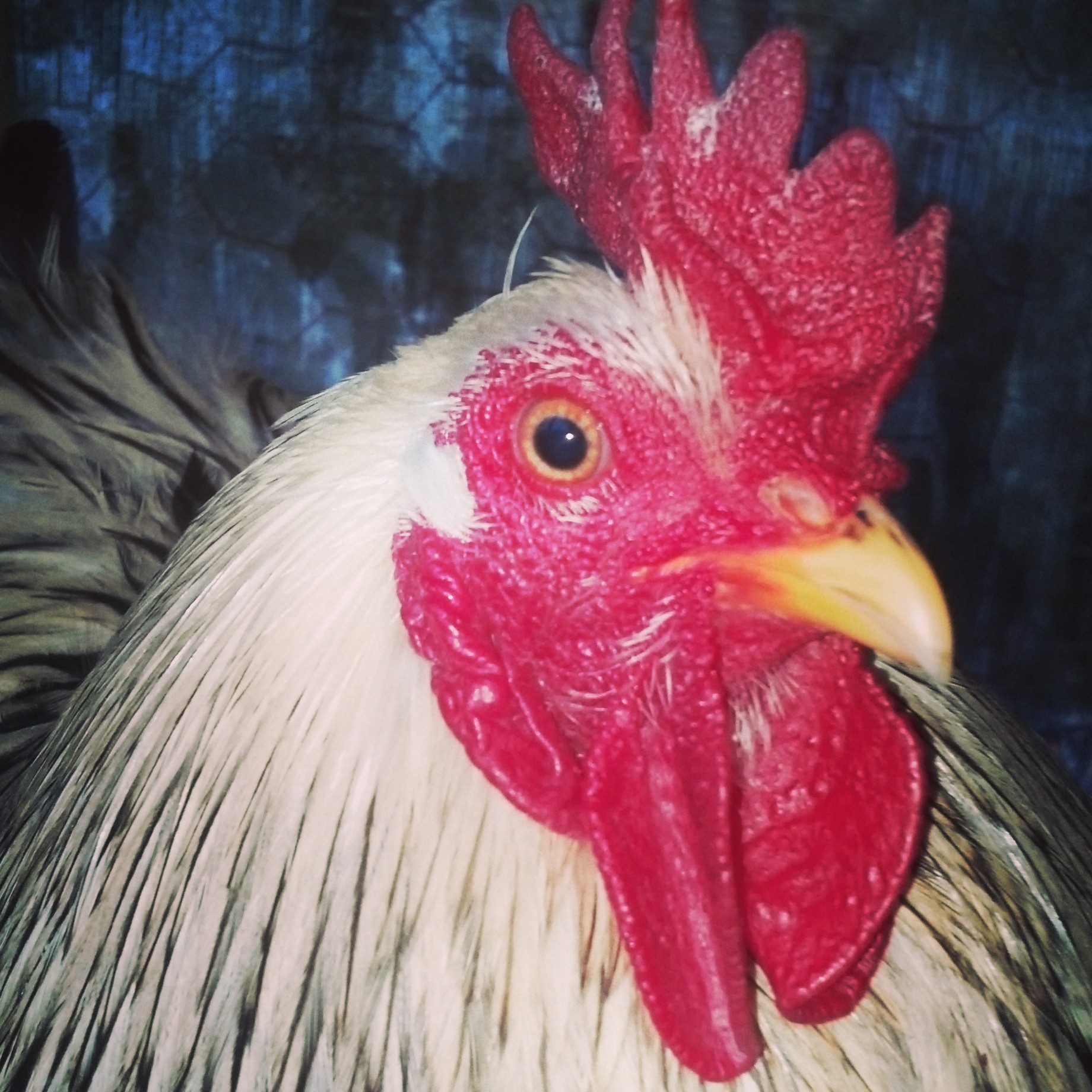 "How is this angle Mom?"