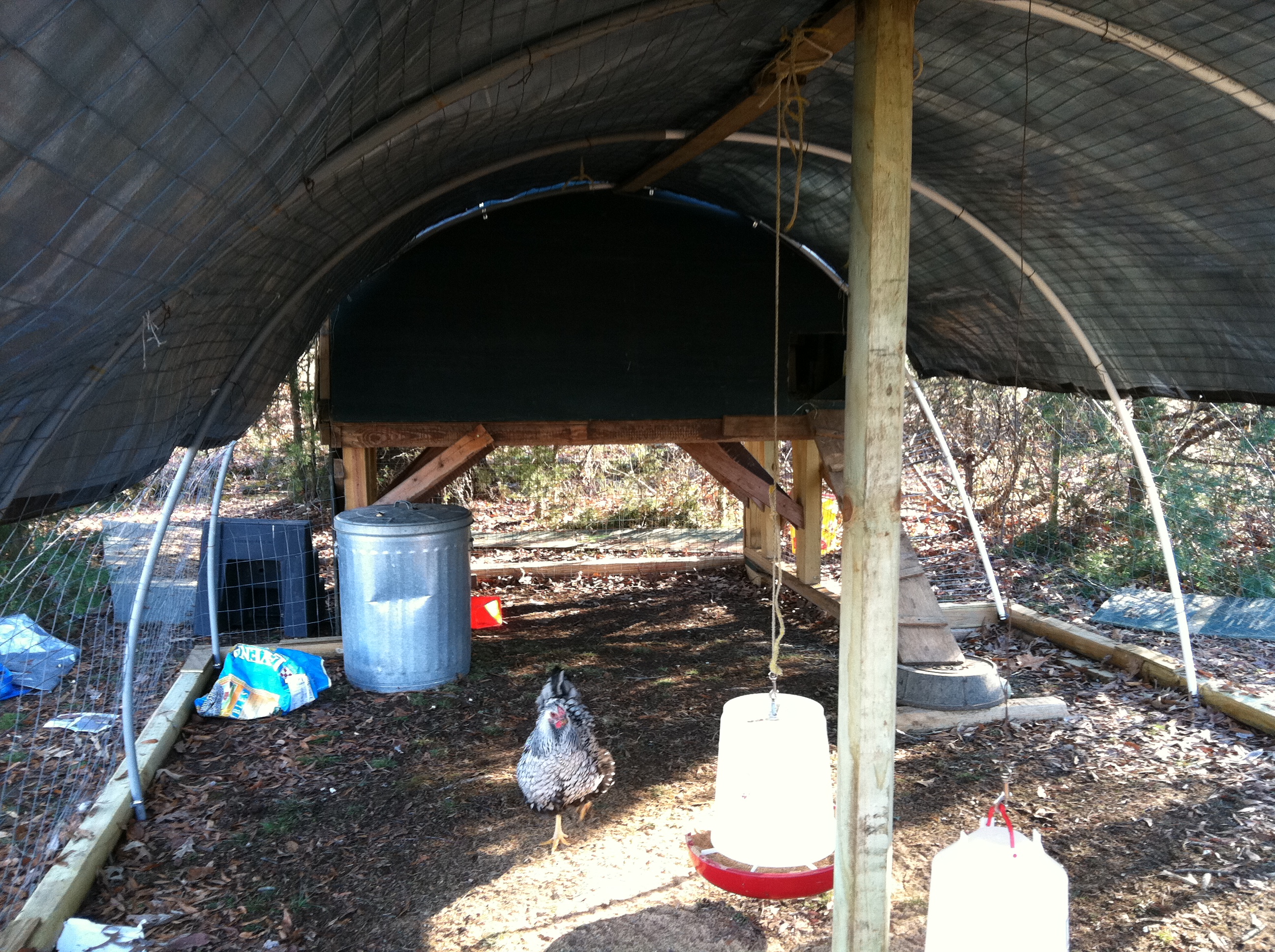 How it looks with the under coop area included in the run. I did put 4 2x4's up inside (in an X shape) to protect against blowing winds. The pvc pipe is attached to the coop and the landscape timber frame with pipe strap.