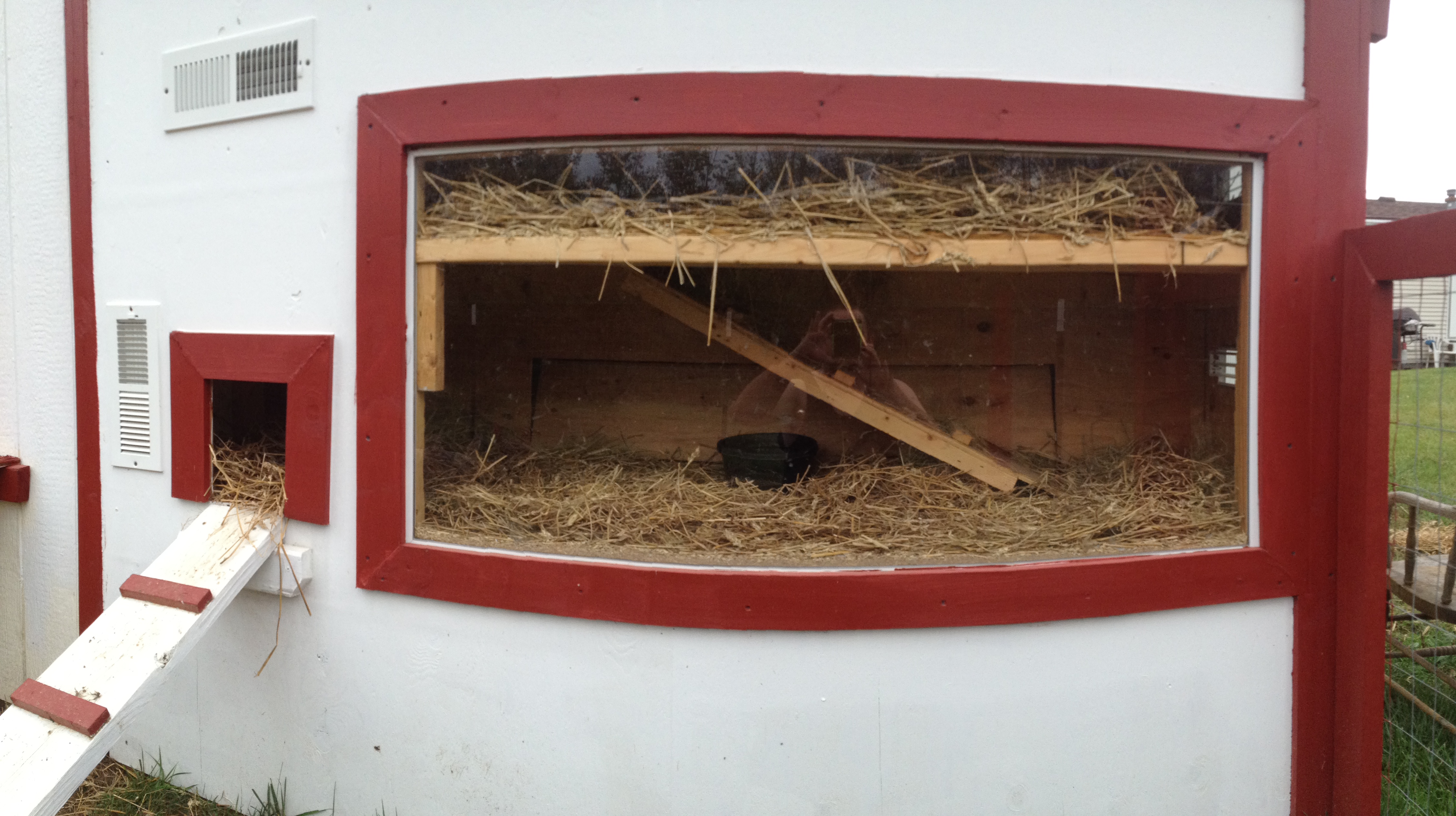 How many chickens will this house comfortably?