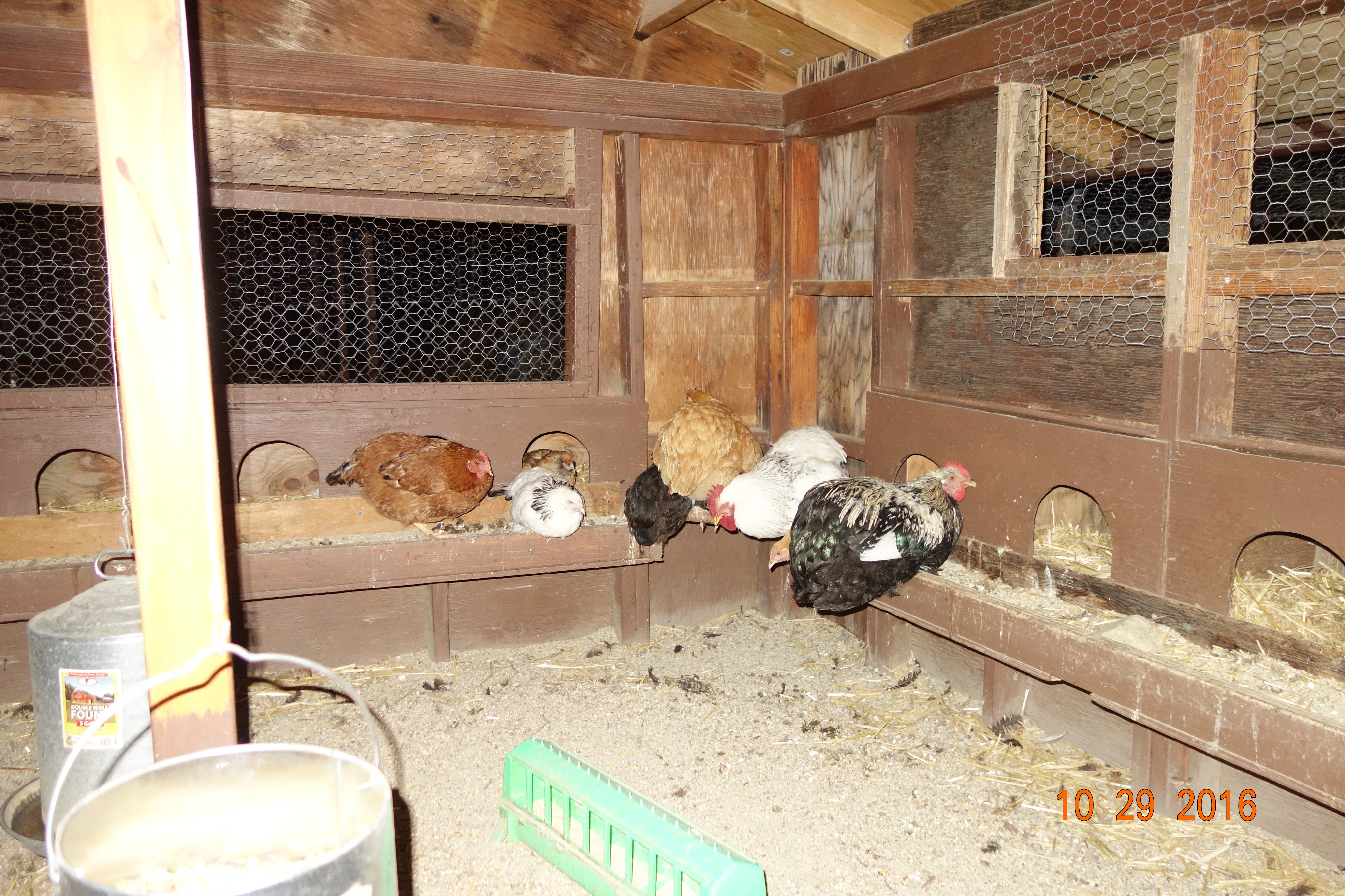 How they cluster at night - right back corner