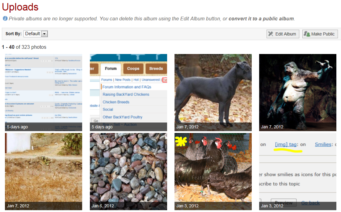 How to post an already uploaded photo--copy&paste.2