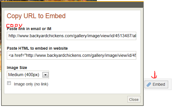 How to post an already uploaded photo--copy&paste.url
