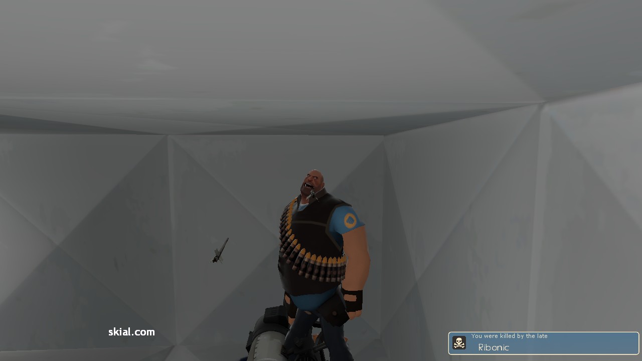 http://cloud.steampowered.com/ugc/630736994016352076/9C6E495E4434B3F6FEDC83BA27827DBD5DEA12E8/