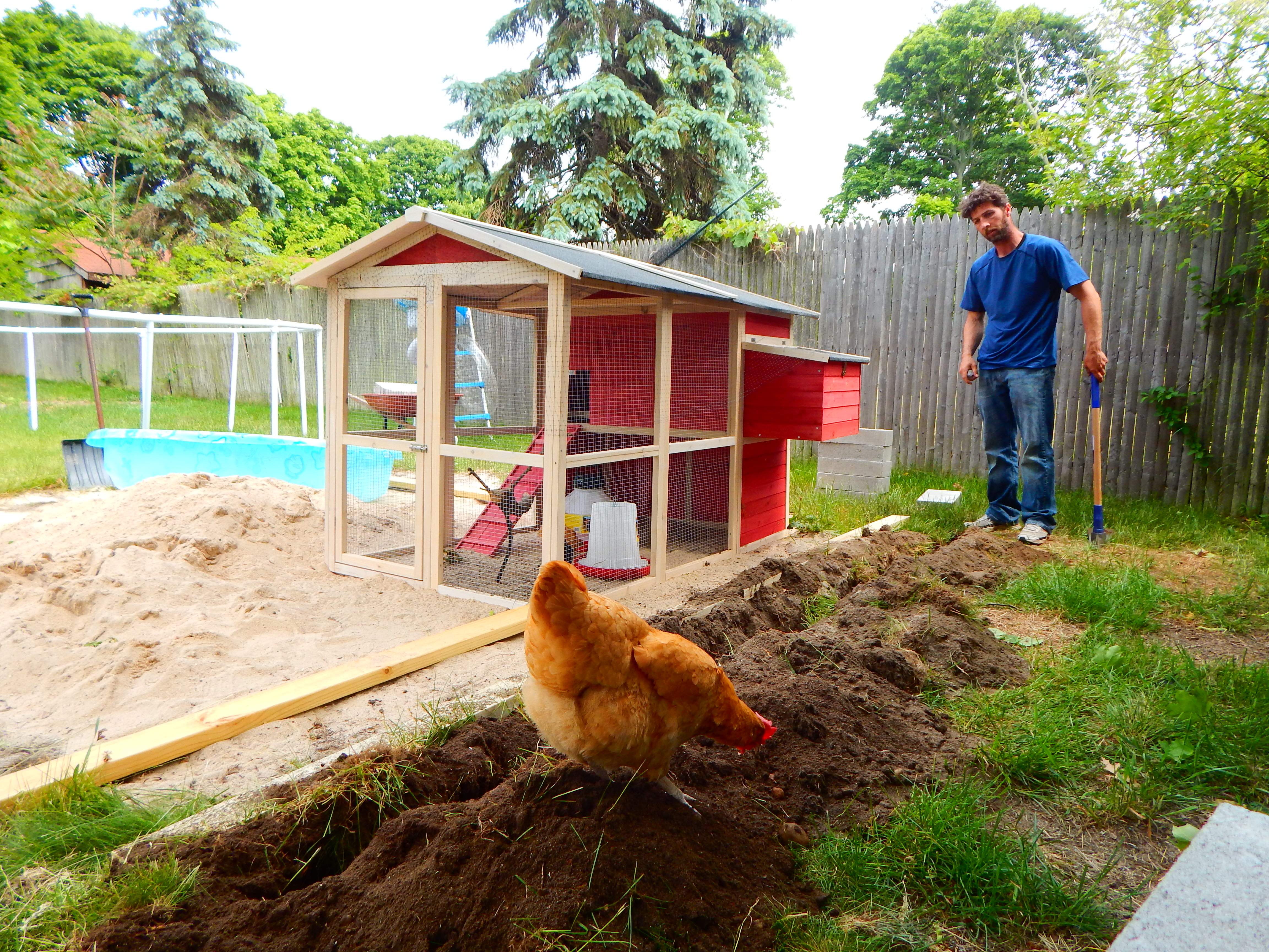 Hubby adding the concrete blocks around the coop
