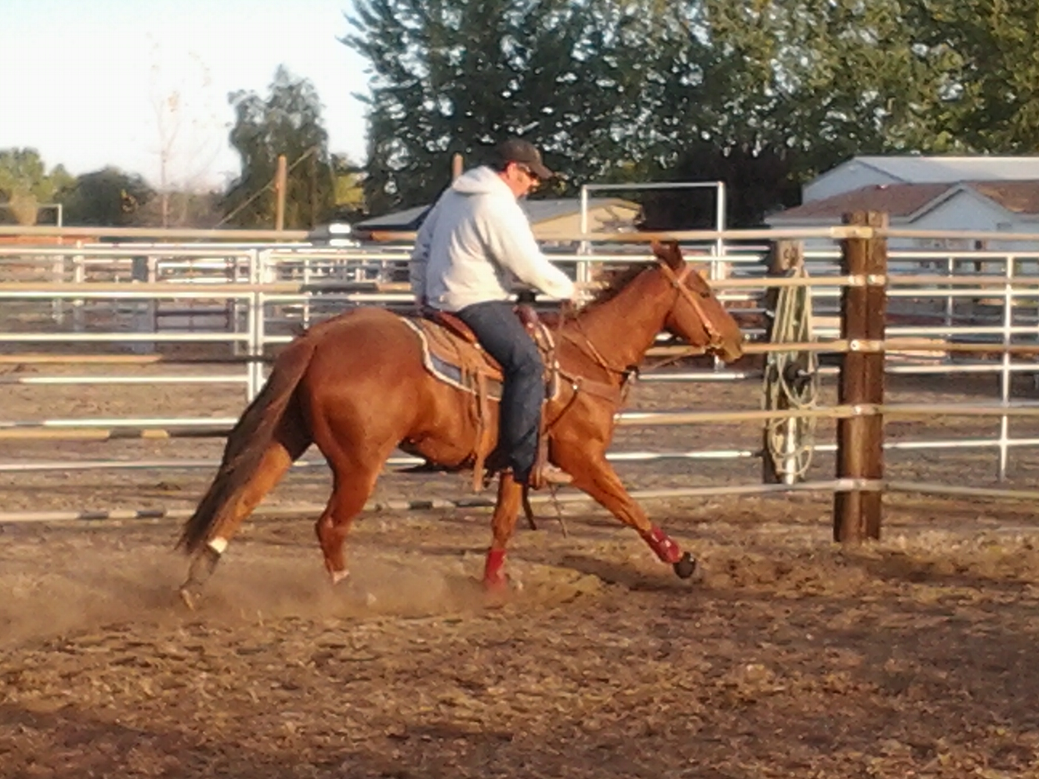 Hubby and Cowboy