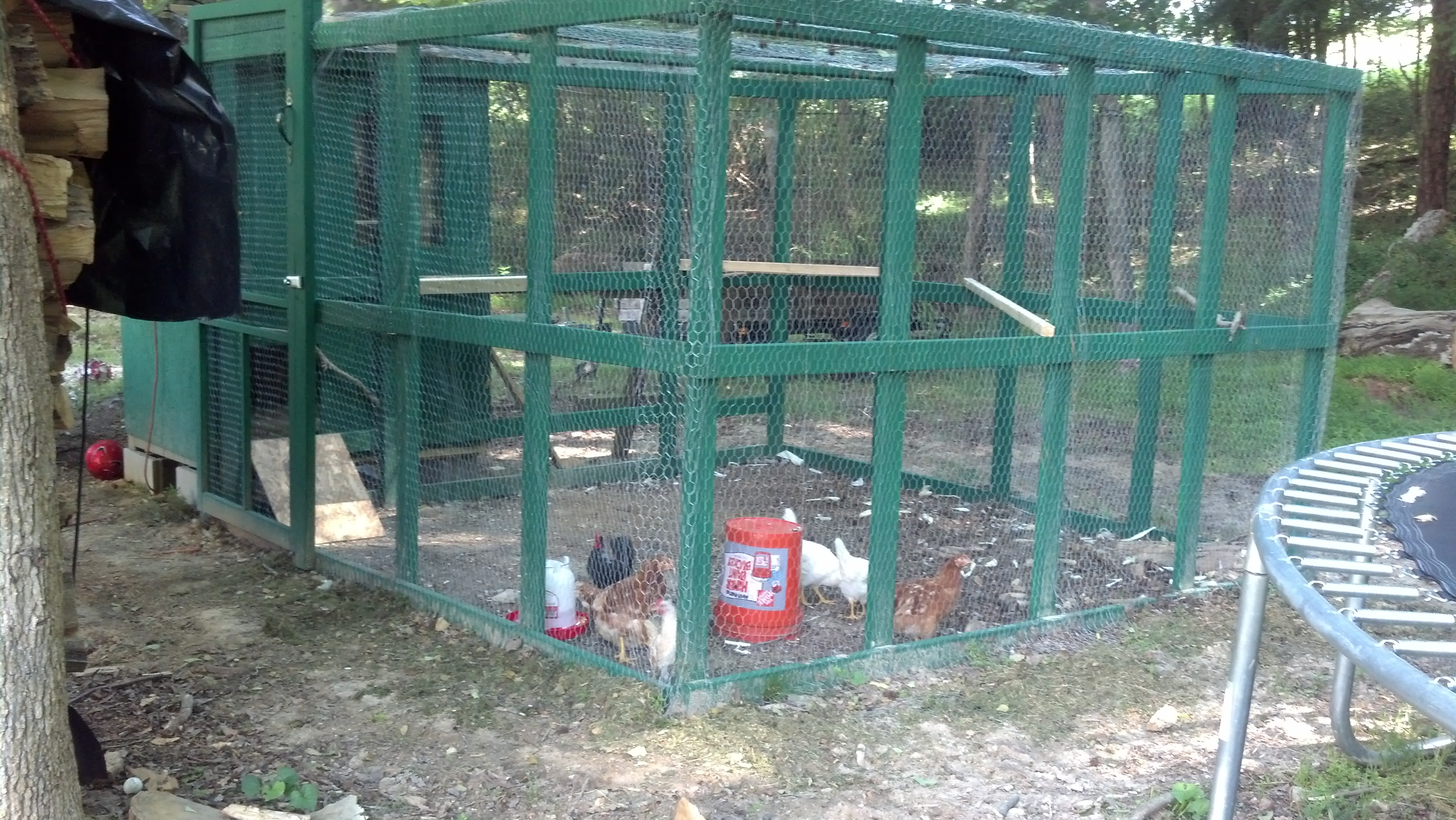 Hubby built this to house my new babies!