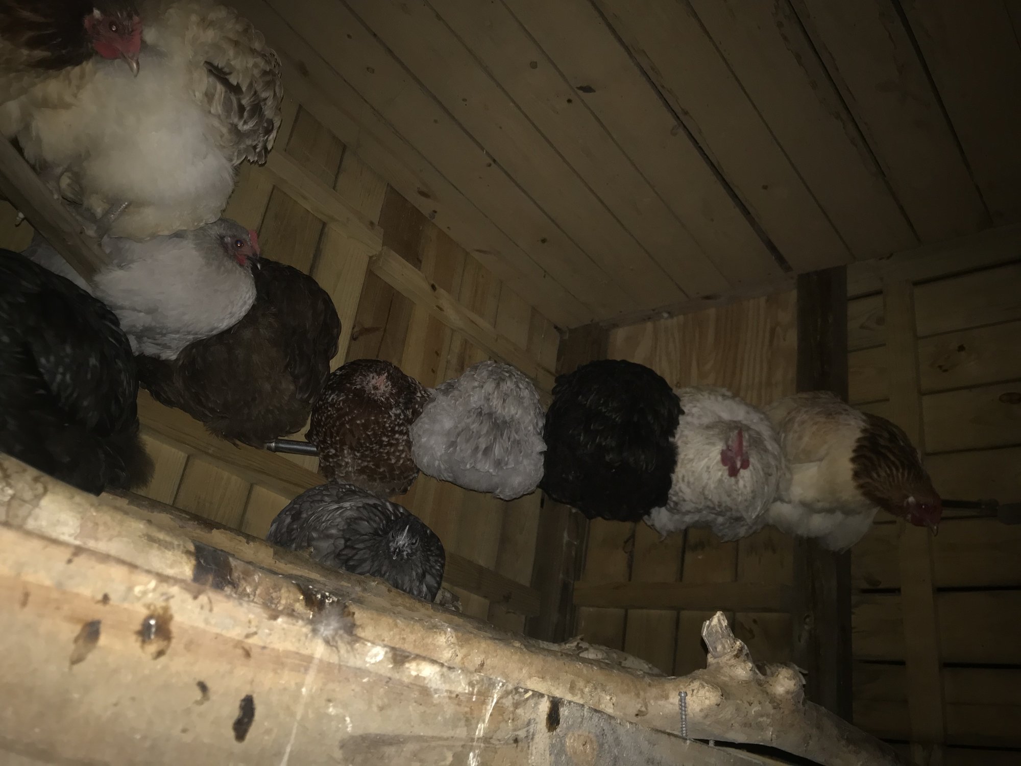 Huddled Up for Warmth