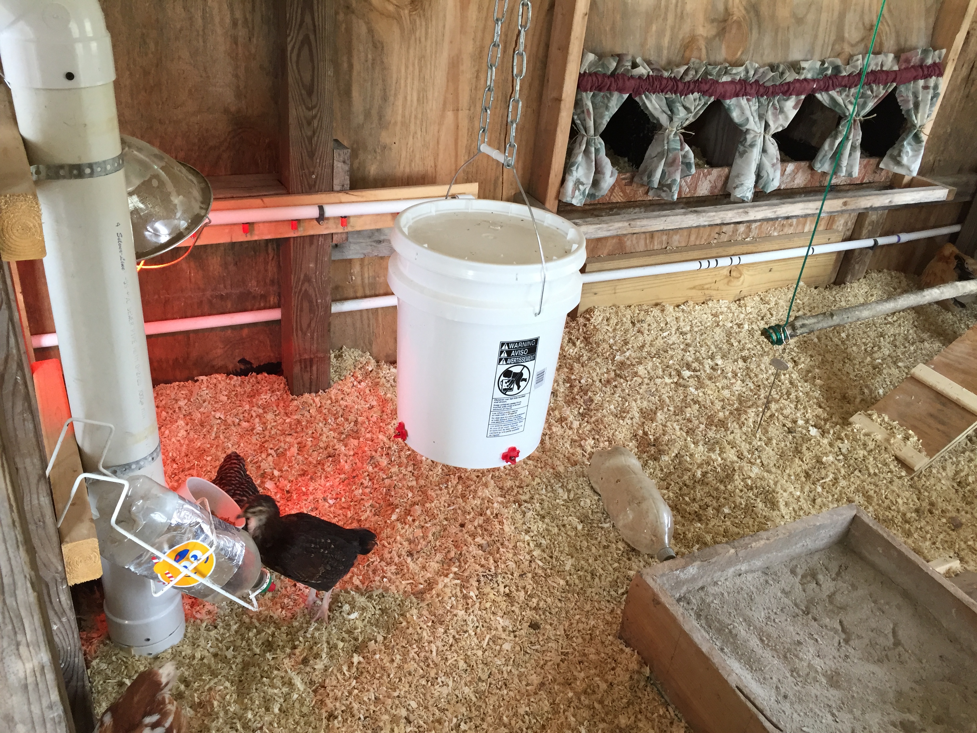 Hung a 5 gallon bucket with horizontal nipples. Never used those before, only the vertical ones. See how that works. My large gravity fed waterer is broken right now. Pipe burst after the roof blew off. 
Ended up placing a large funnel upside down on top of the bucket to keep them from roosting on it. Should do the job. Time will tell. 
Dust bathing box contains a mix of dirt, wood ash and DE. Used my litter pooper scooper to filter out rocks, chunks of woods, sticks, etc. to make it as fine and fluffy as possible.