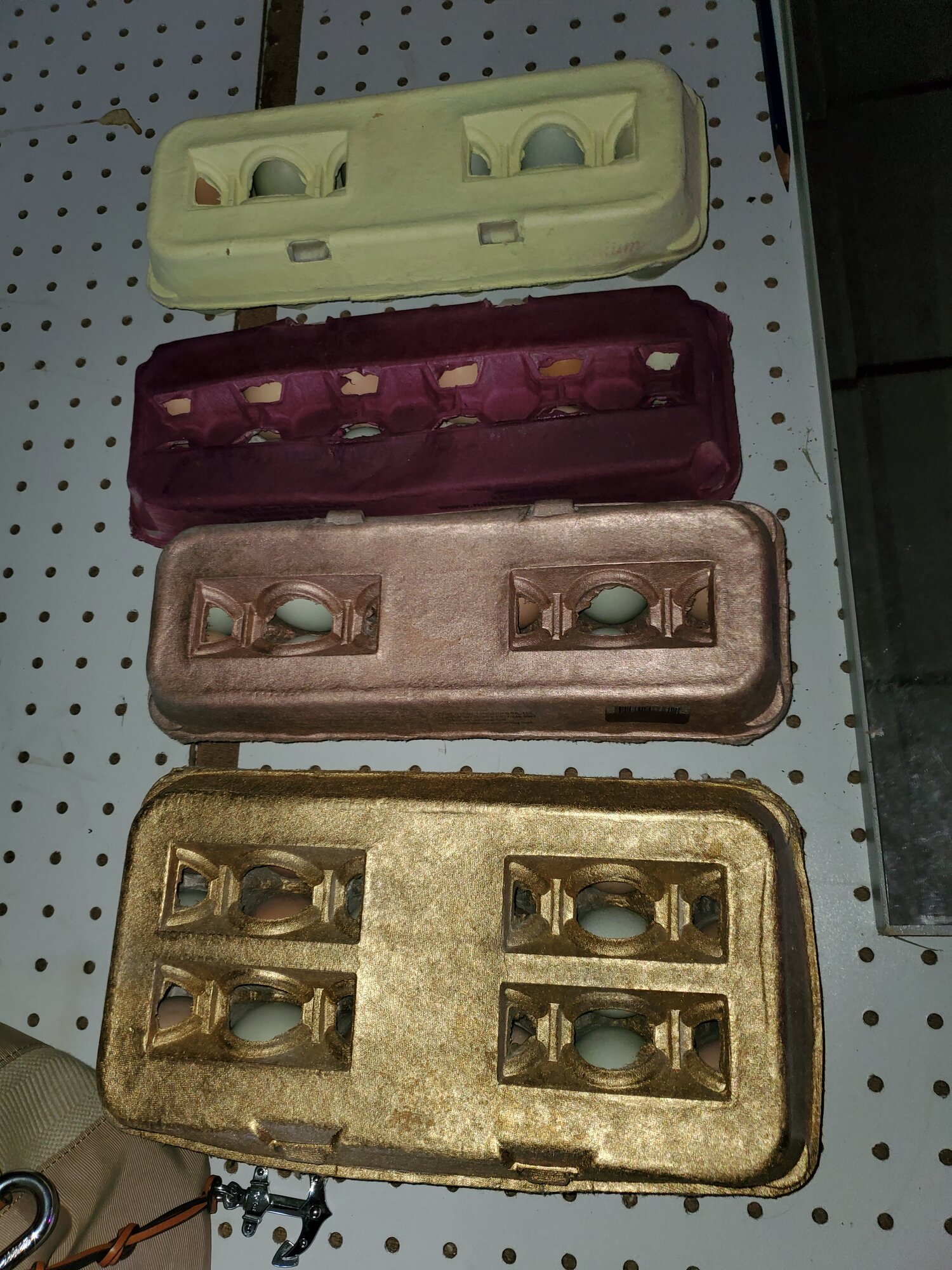 HUNTER Gatherr Egg cartons