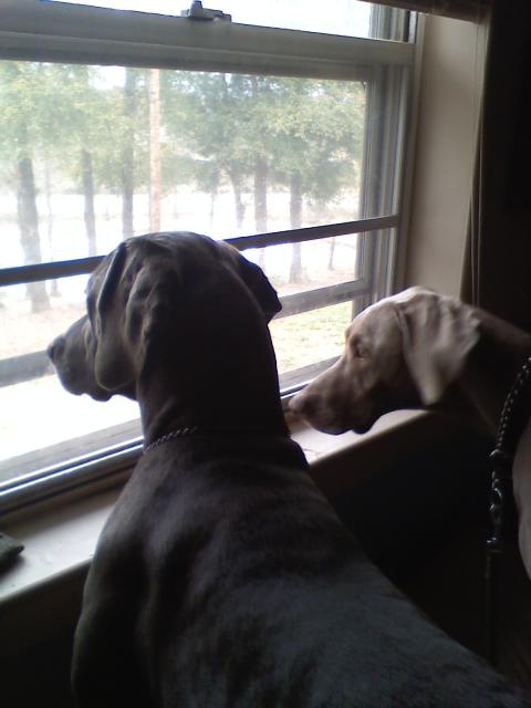 Hunter & Remy.
