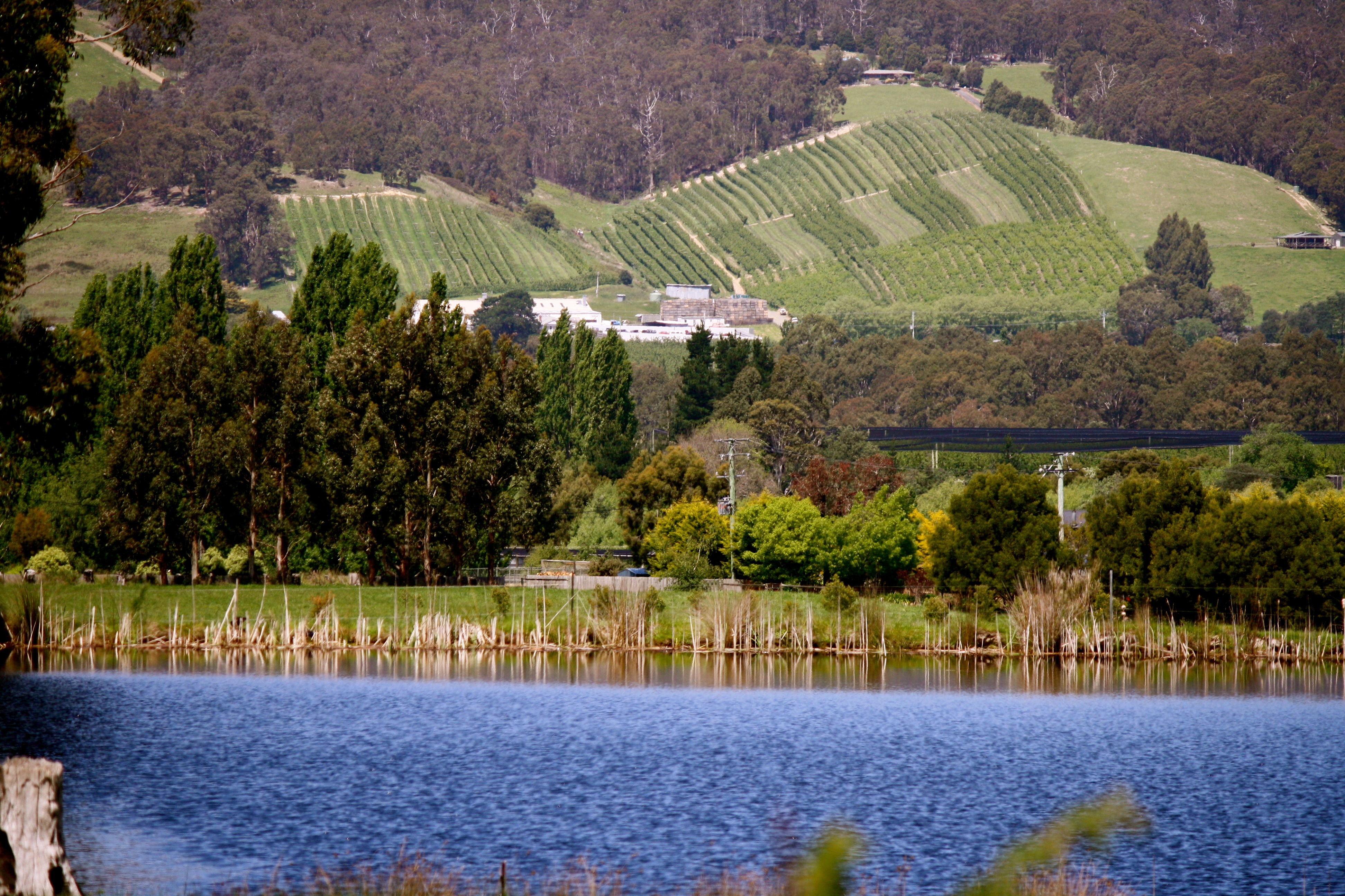 Huon valley.