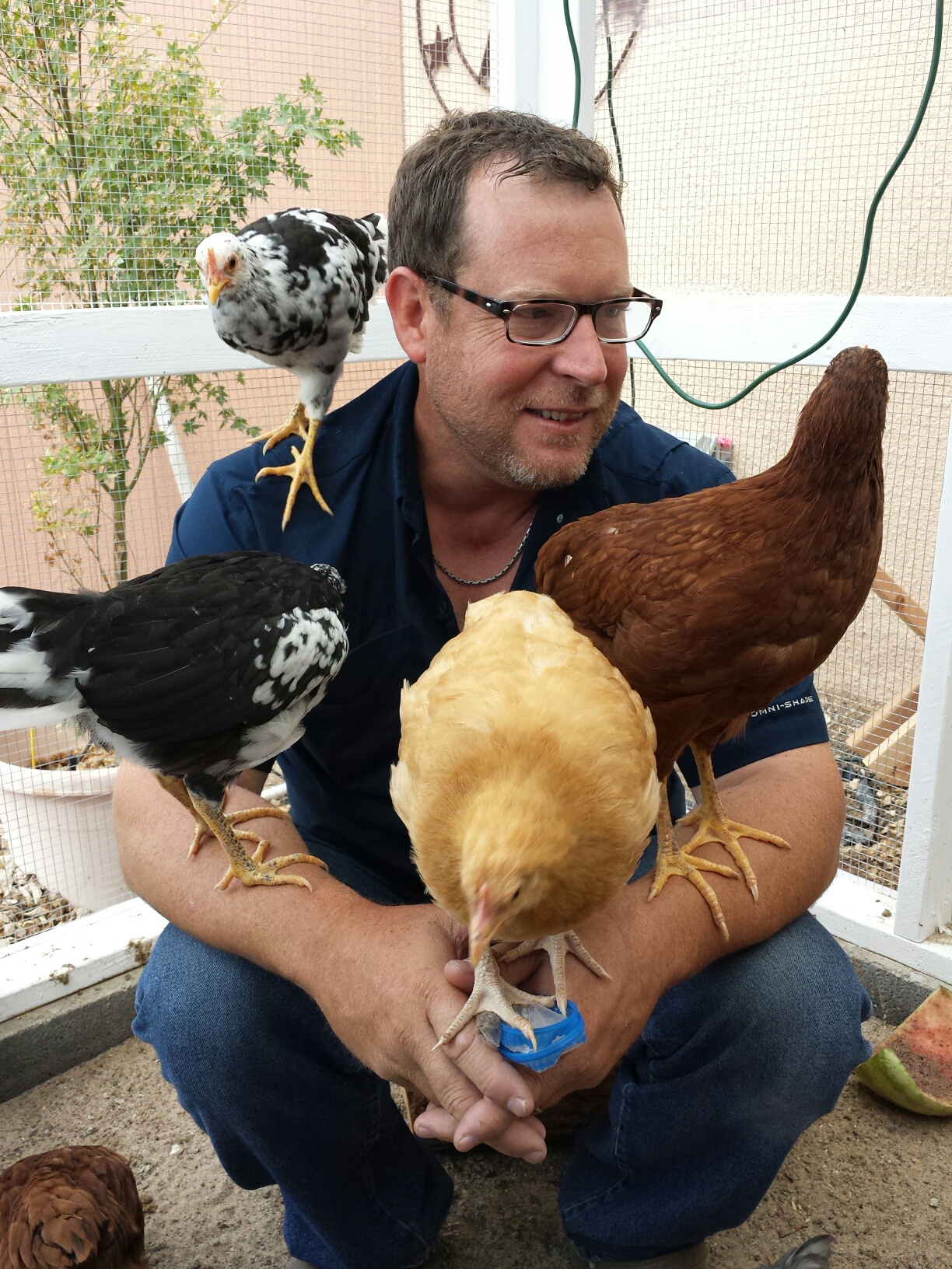 Husband and 4 of our girls. Clockwise starting next to his head. Checkers, Ginger, Fat Amy and Chip