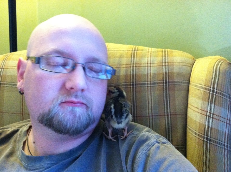 Husband and his little Dorking, she likes his ear ring