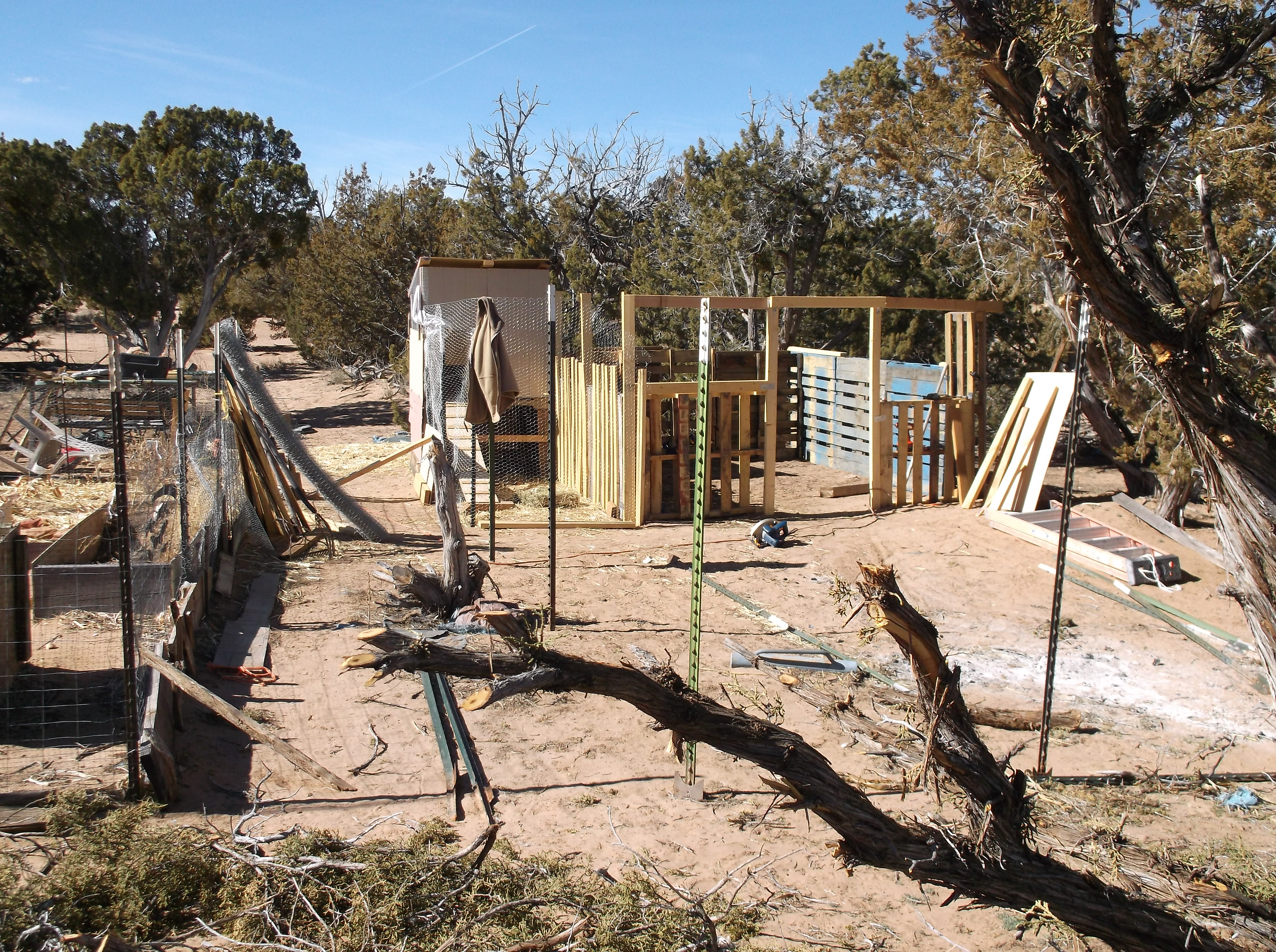 hutch, coop and run area.